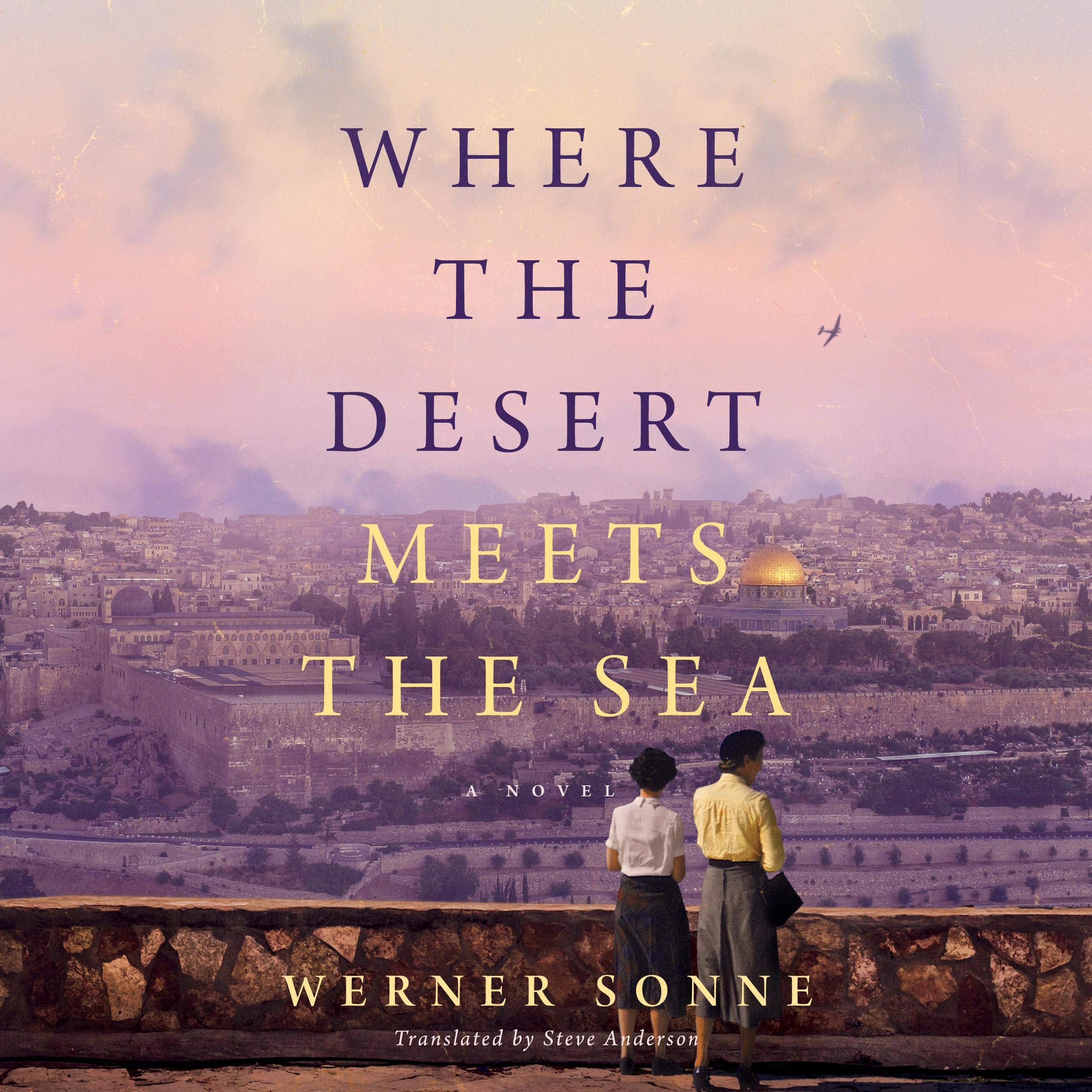 Cover art for Where the Desert Meets the Sea