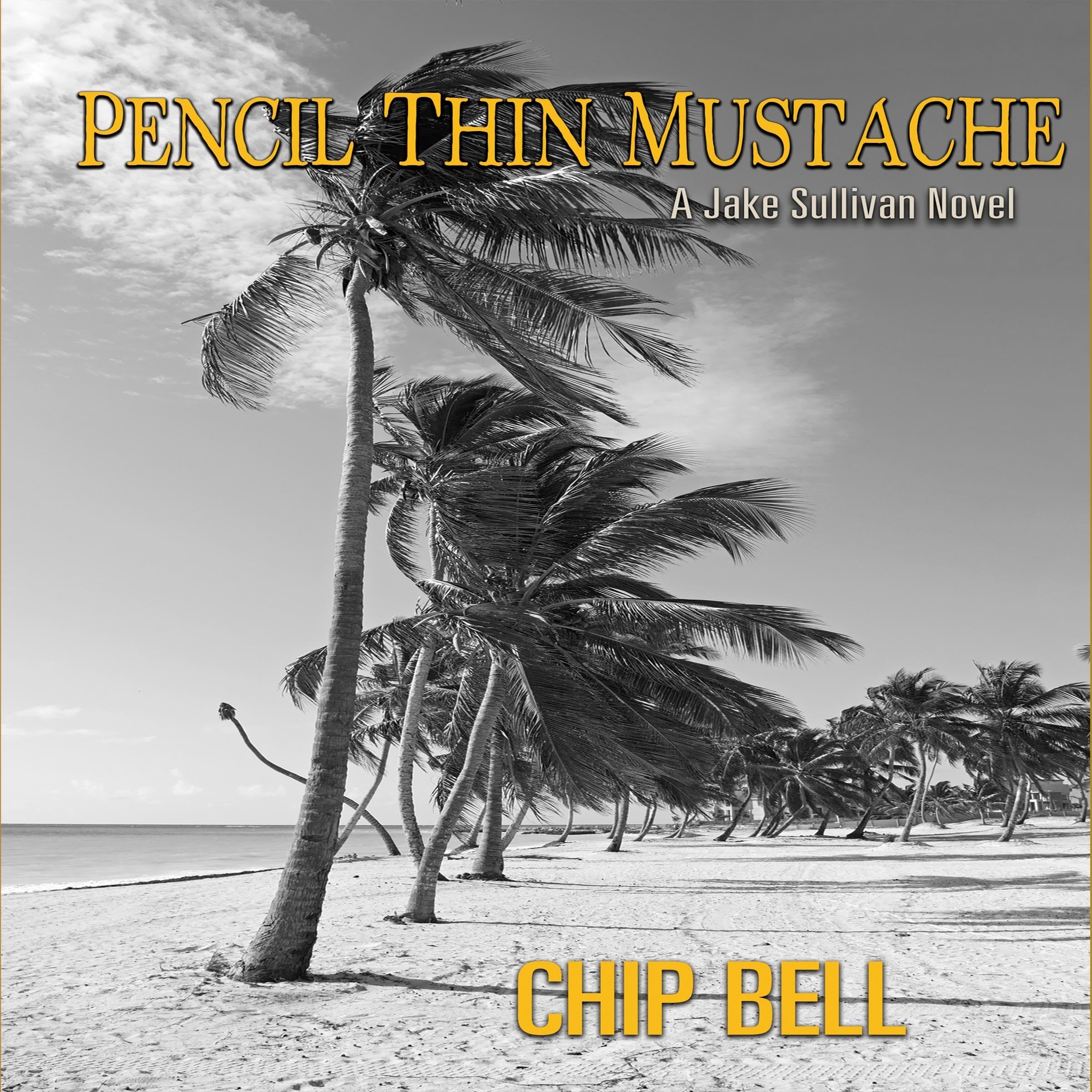 Pencil Thin Mustache