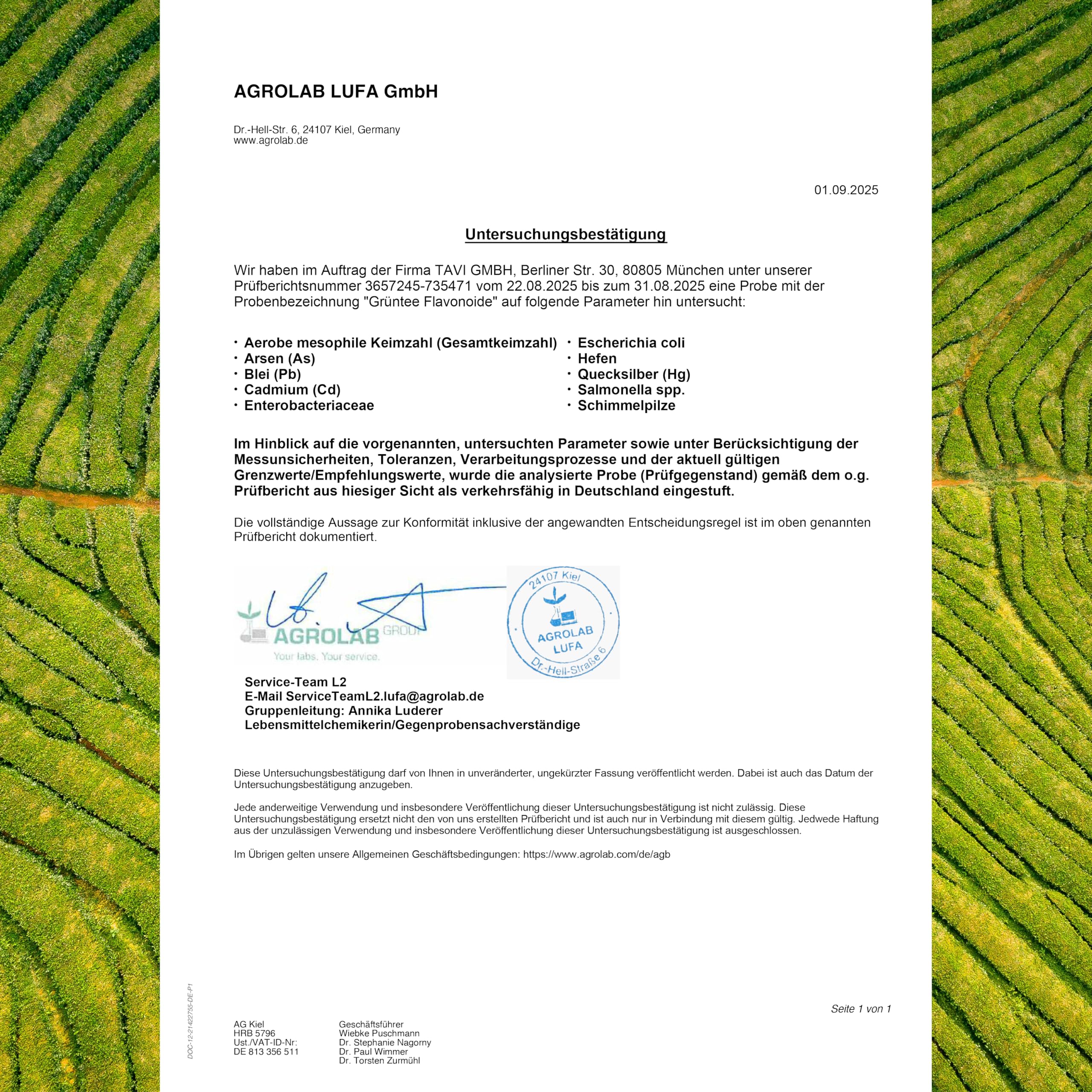 TAVI® Grüntee Flavonoide • 90 Kapseln • Mit EGCG Epicatechine