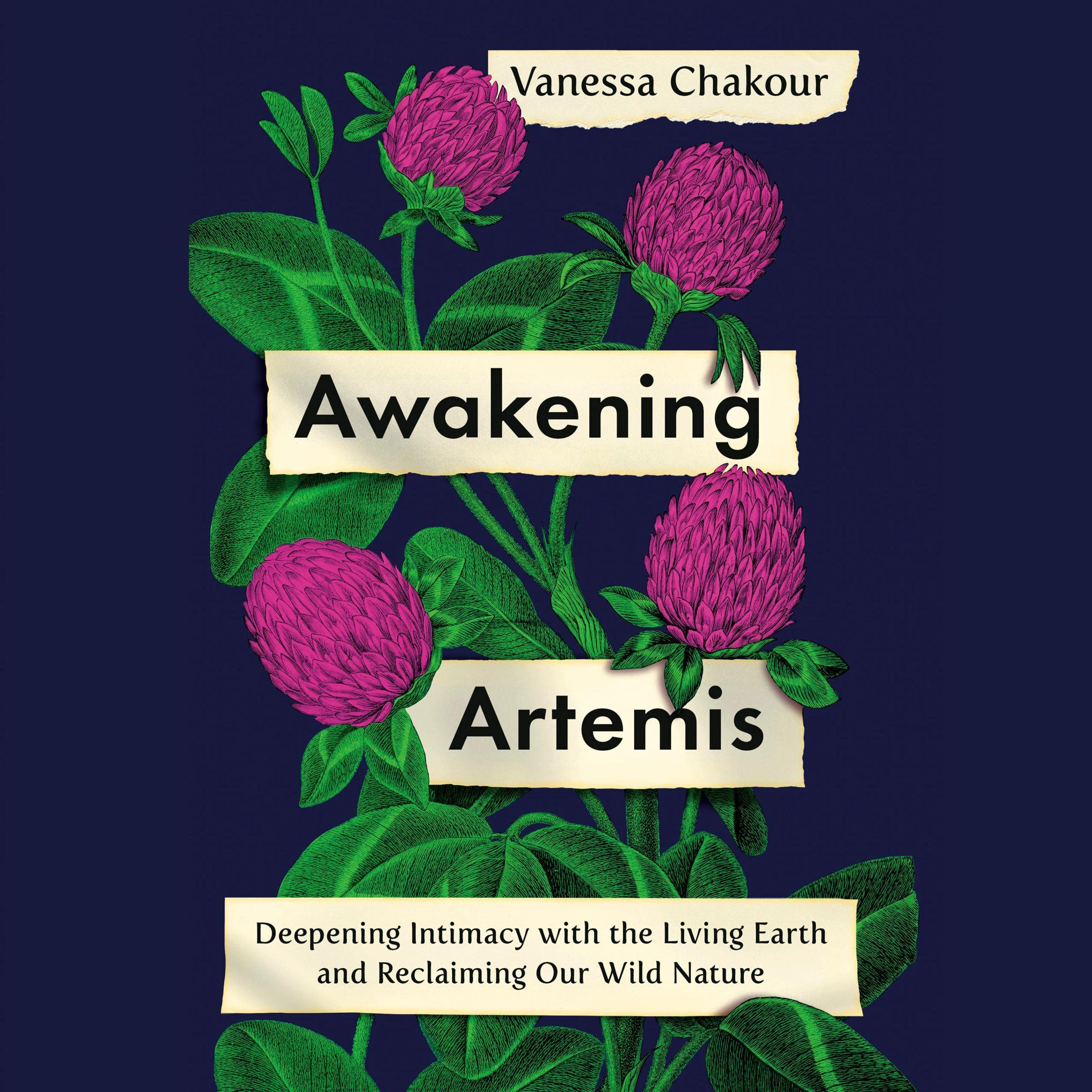 Cover art for Awakening Artemis