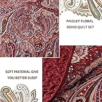 Vista 70 de DJY Juego de edredón de cachemira marrón, tamaño Queen, juego de colcha bohemia de 3 piezas, ropa de cama de microfibra suave y ligera con estampado