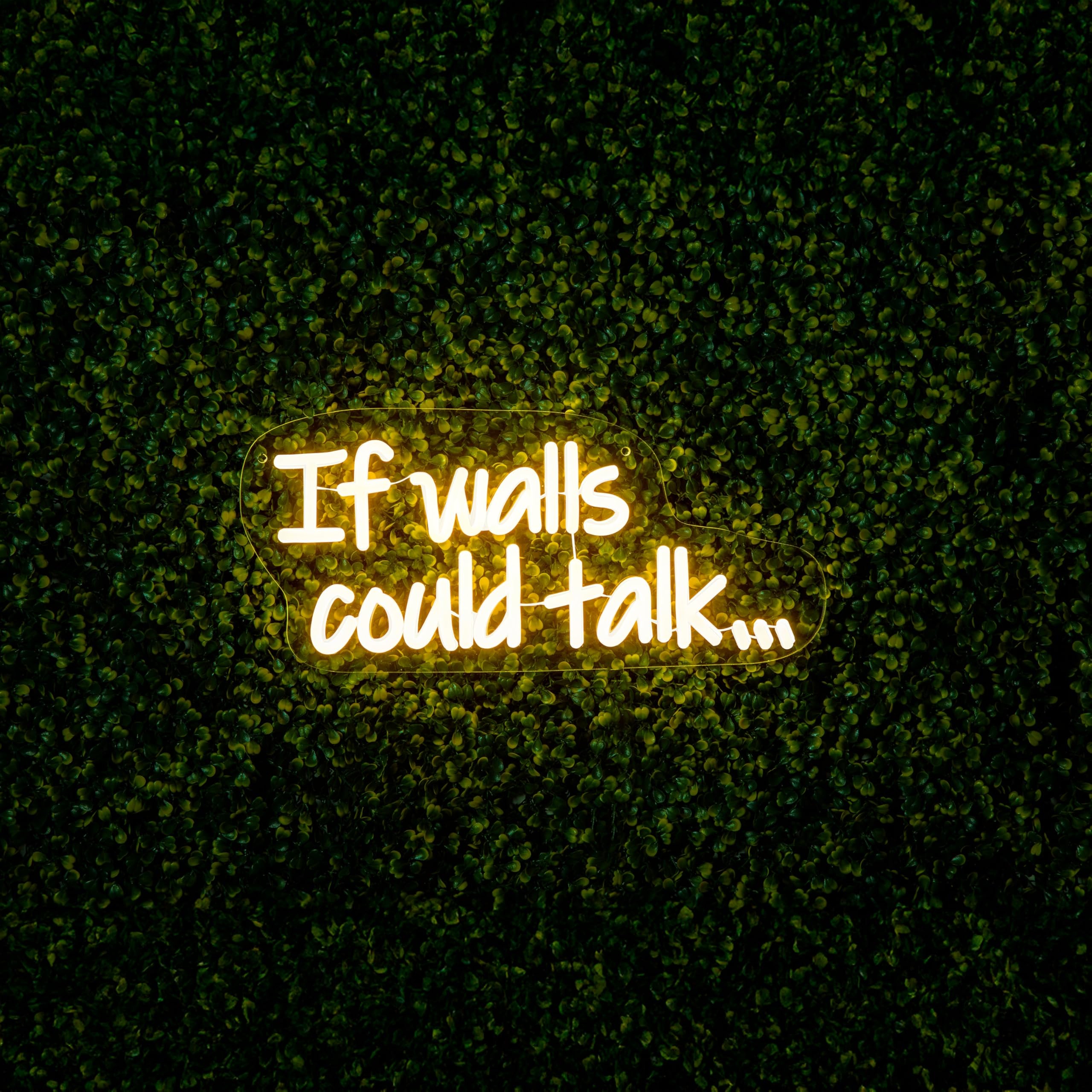 Premier 40cm LED Neon Wall Sign If Walls Could Talk – Garden Party Wall Light Sign – Warm White LED Acrylic Bar Decor Sign for Home Bar Party Decoration