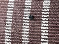 Review Image by Angel Owens Angel Owens