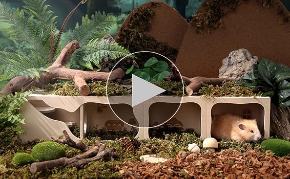 Amazon | Tafit ハムスター ハウス 隠れ家 木製 ハムスター 家