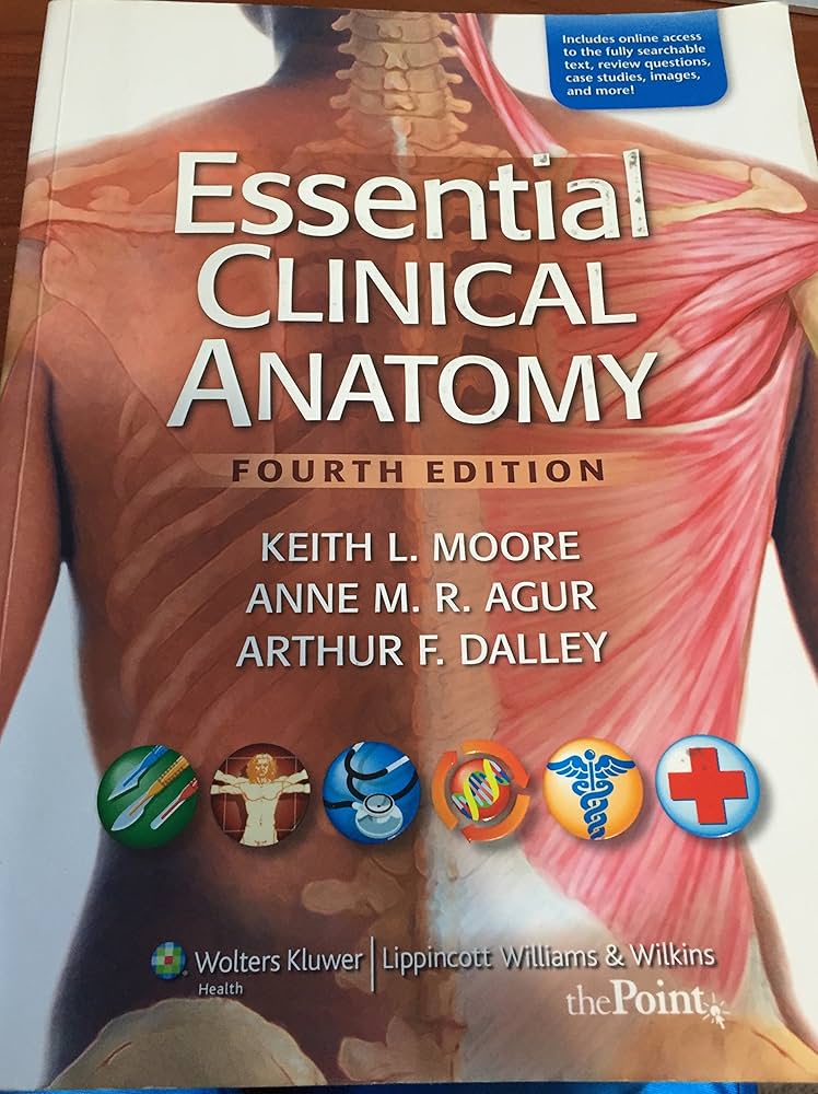 【未開封】Moore's Essential Clinical Anatomy Essential Clinical Anatomy: 9781469832012: Medicine & Health
