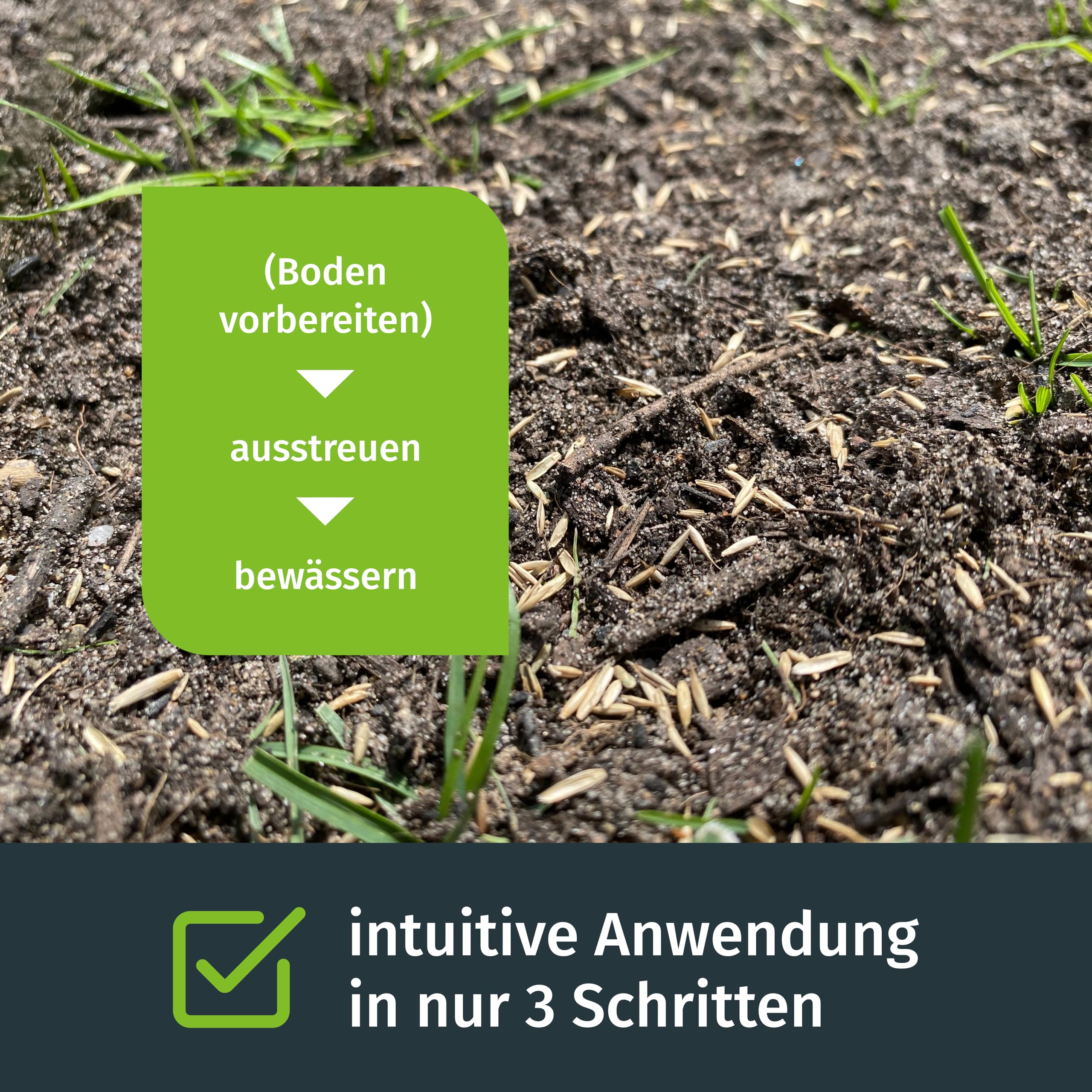 Trockenrasen, Rasensamen, 5kg für 165m², Trockenrasen Samen, Grassamen, Ideal zur Neuanlage, Für sonnig Standorte, Rasensaat, Nachsaat, RSM Qualität, Turbogrün