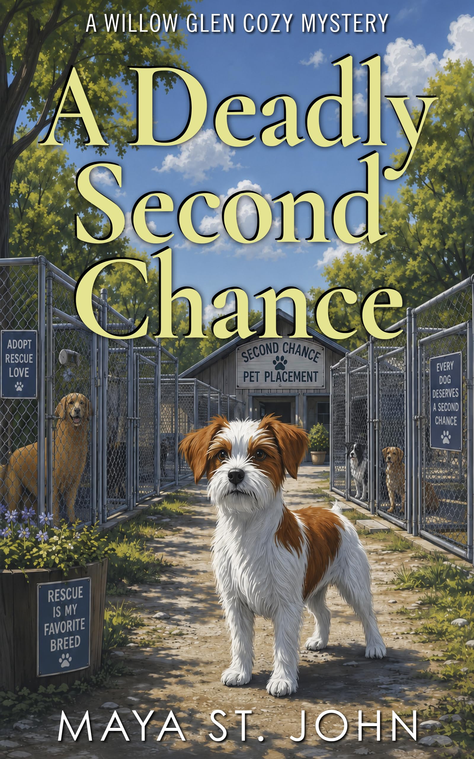 A Deadly Second Chance (Willow Glen Cozy Mysteries)