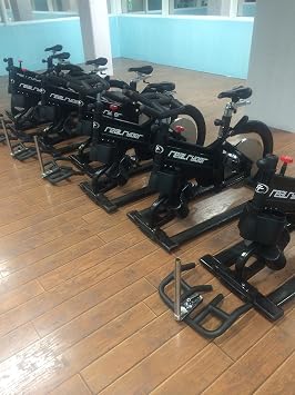 RealRyder Indoor Cycle, Exercise Bikes 