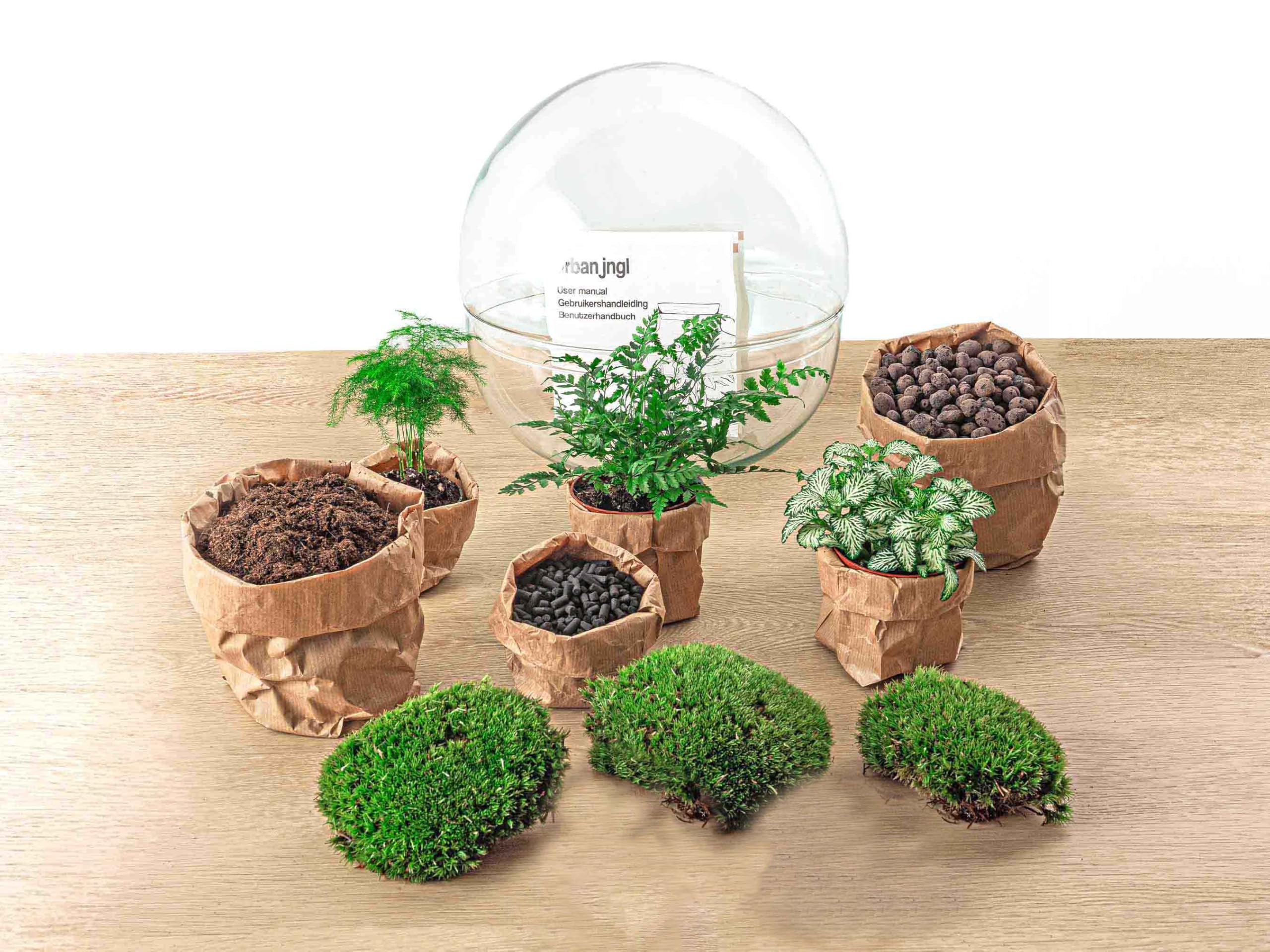Terrario De Plantas Dome XL - Ecosistema Autosuficiente, 30 Cm Alto - ¡Mini Jardín En Casa Con Muy Poco Mantenimiento!