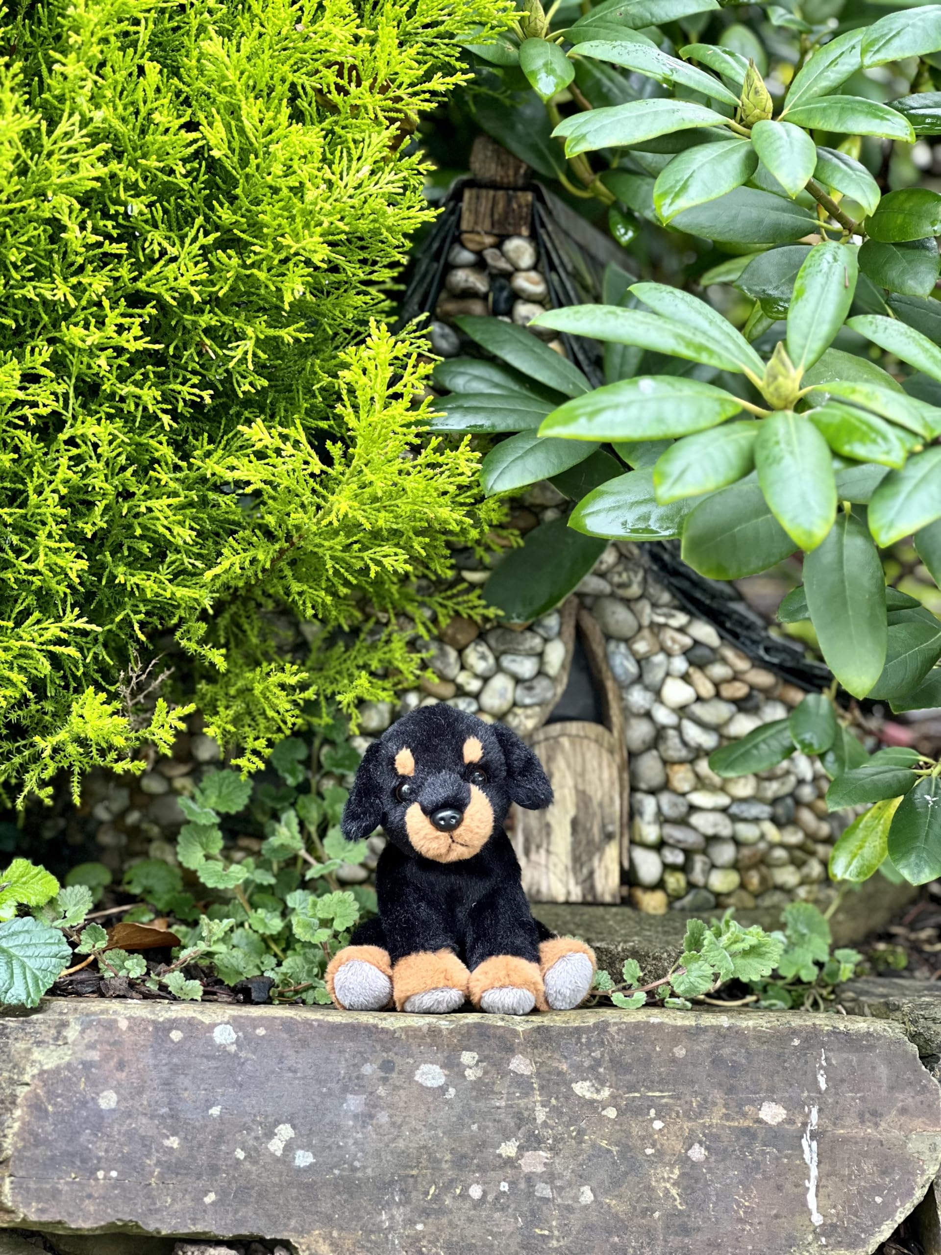 英国チャーリーベアーズ社 犬のぬいぐるみ 英国チャーリーベアーズ社製のテディベアの入荷のお知らせ | 蓼