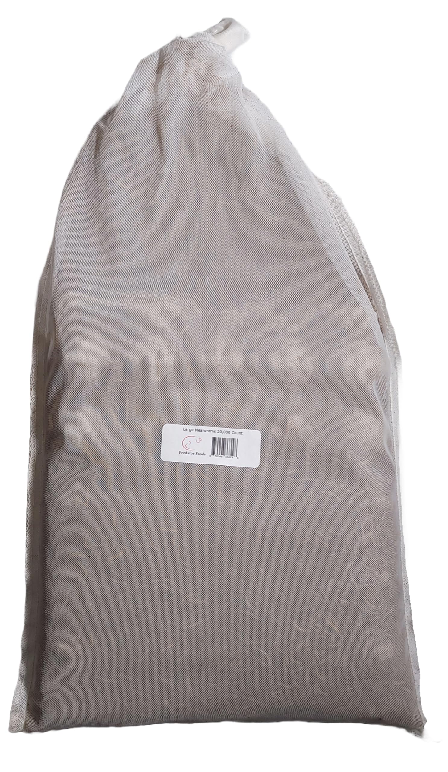 Predator Foods Bulk Live Mealworms- Large ~.75"-1" - 1,500-20,000 Count (20,000 Count)