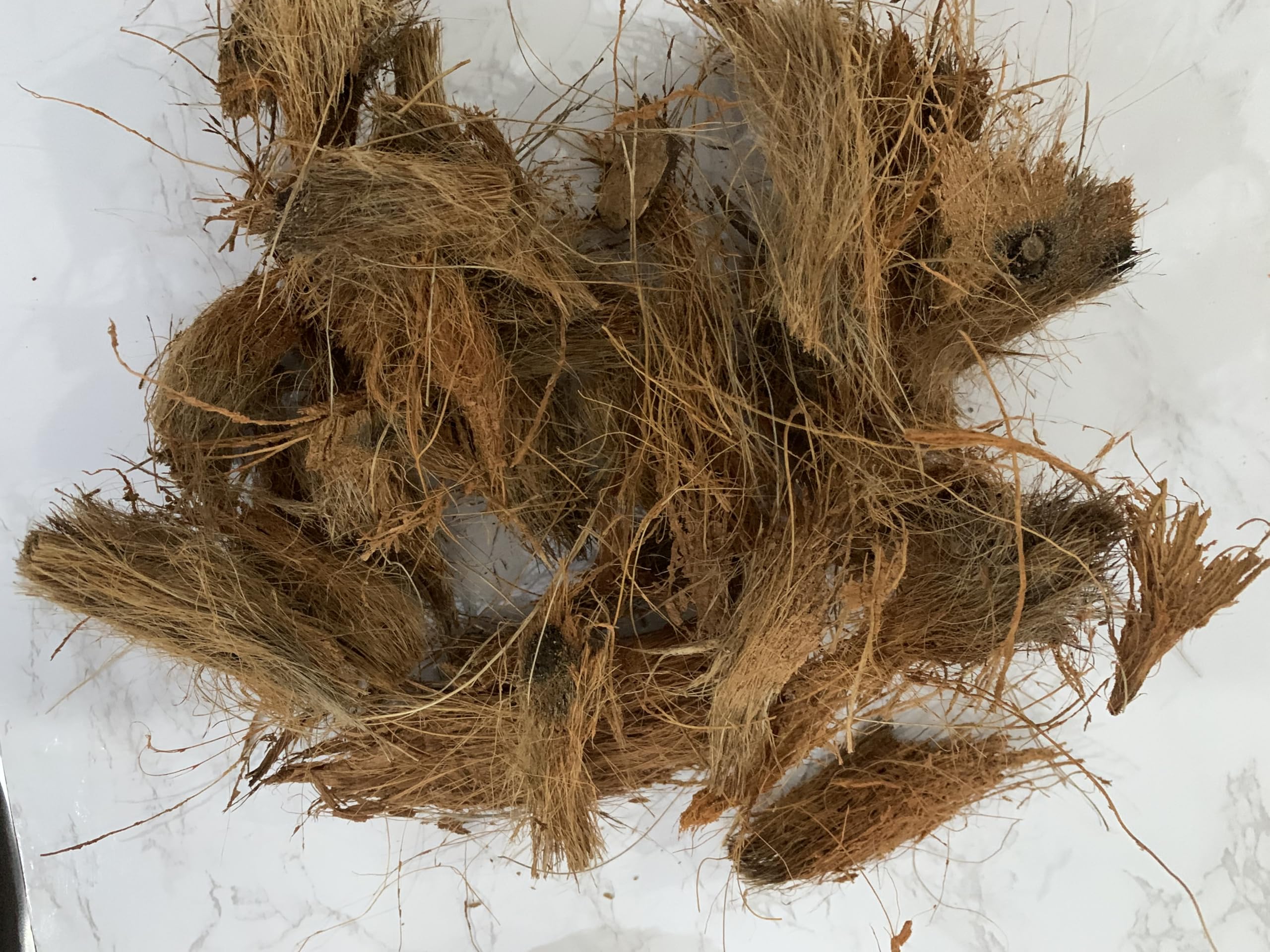 Natural Coconut Husk Fibres, Raw Coir Material, Brown, 100g, Natural Brown - Image 4