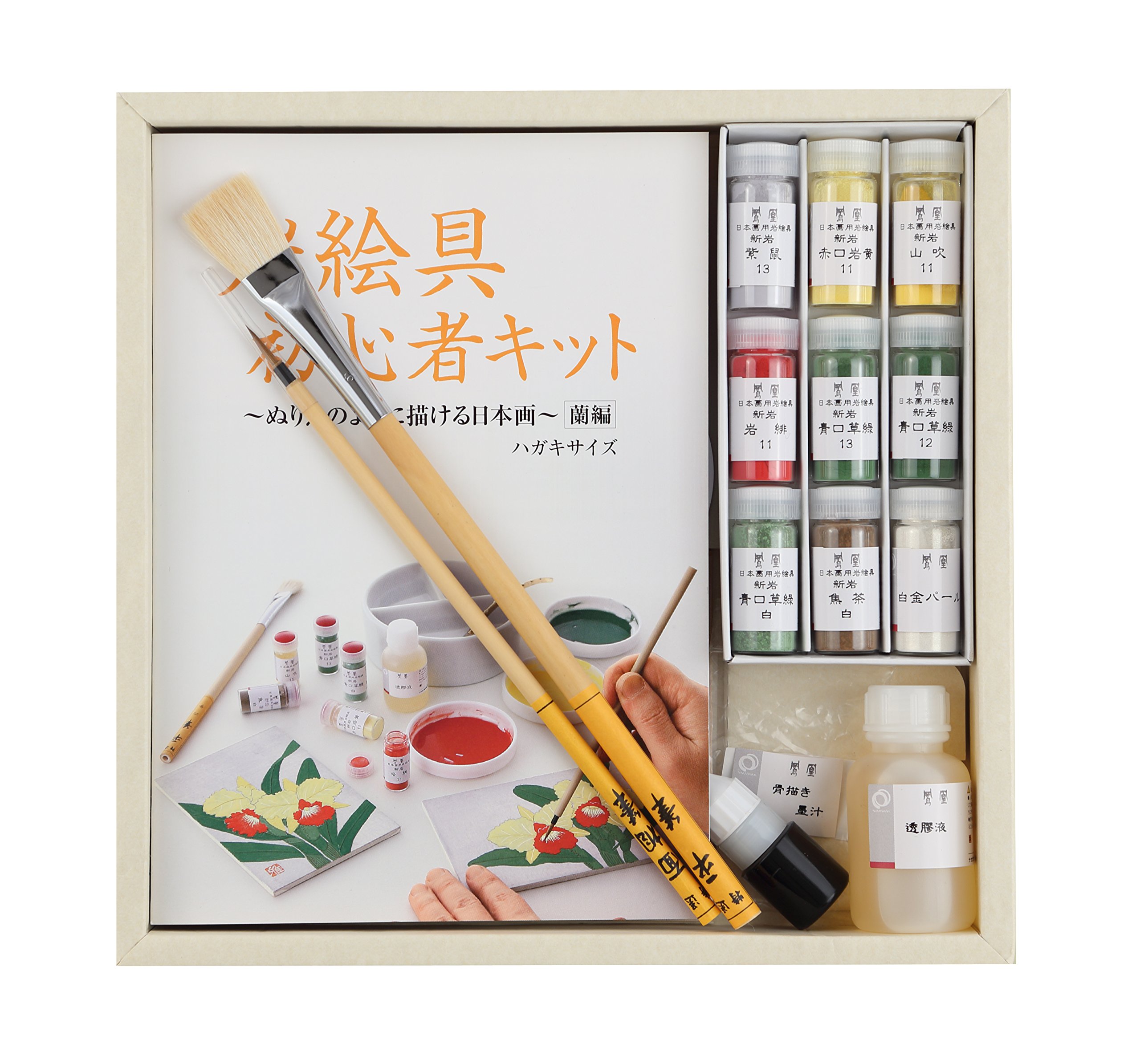 Phoenix peinture rock Hen kit débutant d'orchidées pour peindre sans rater vos motifs floraux