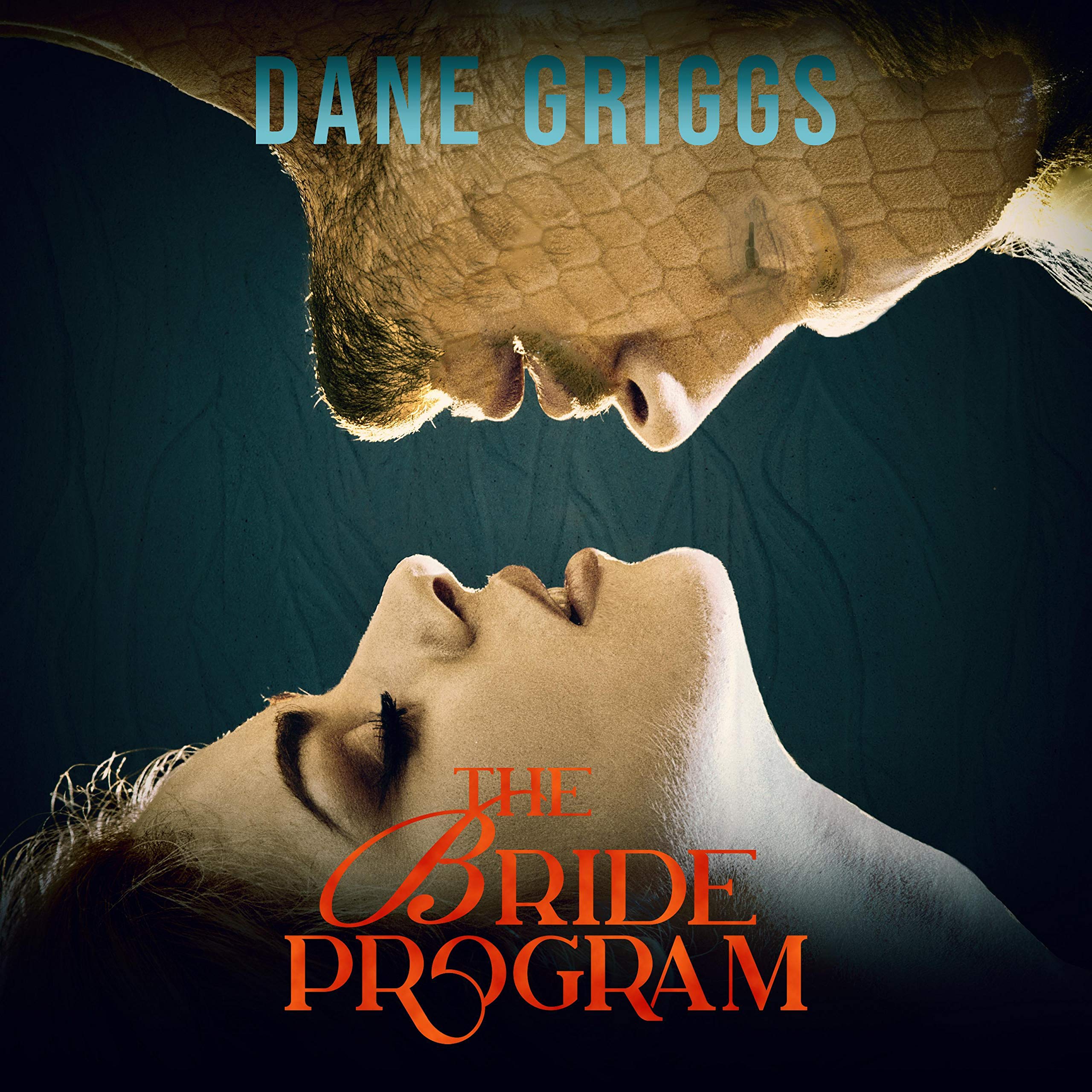 Cover art for The Bride Program