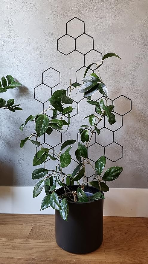 LEAFLO Beehave Rankhilfe für Zimmerpflanzen groß 100 cm Metall