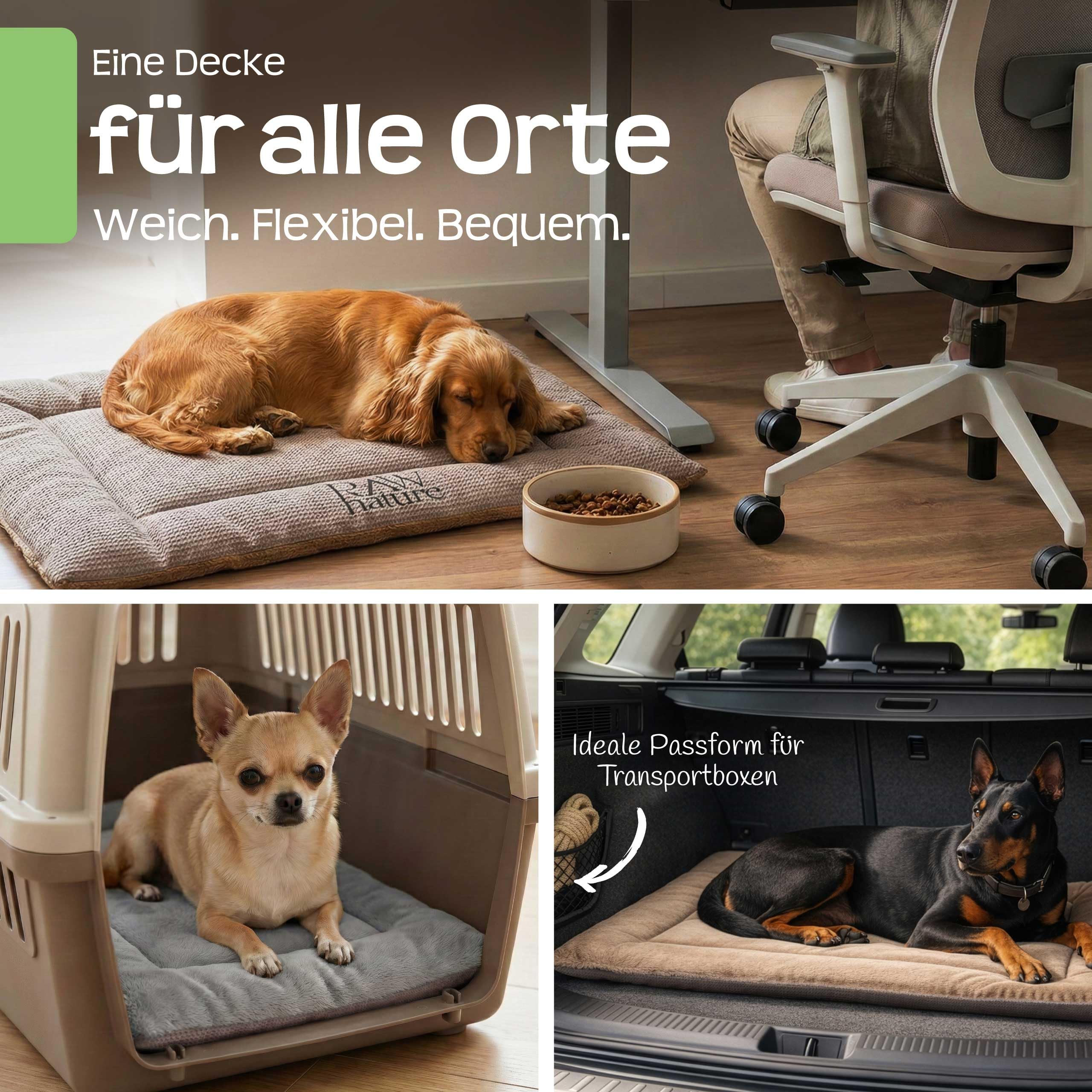 RAW Nature Hundedecke SAVO, L – 90x65x4,5 cm Lagunengrün, Flauschige Hundeliegedecke als Wendedecke, waschbar, für gängige Transportboxen geeignet