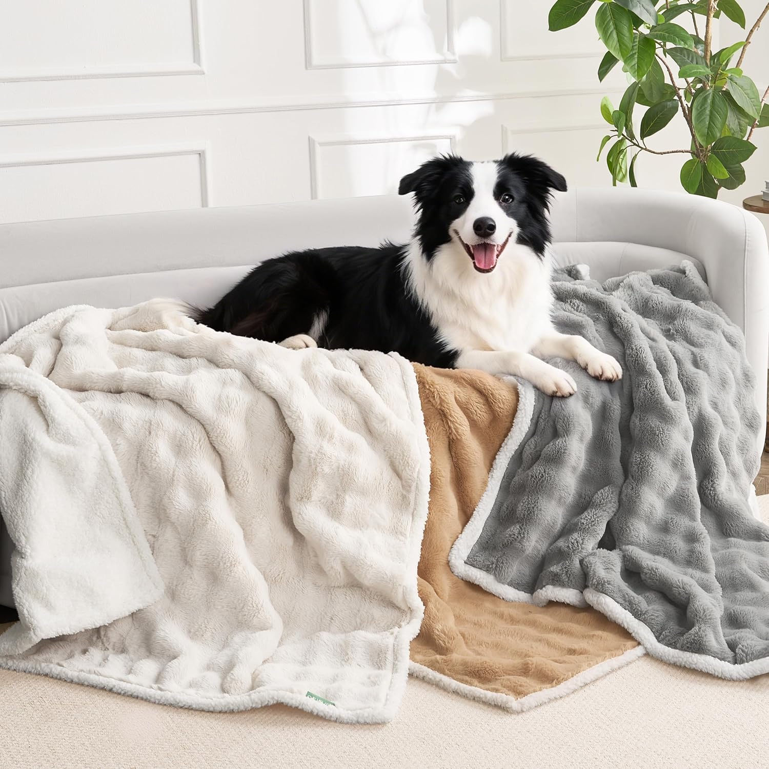 Soft Cozy Waterproof Dog Blanket for Large Dogs - Room Decor Pet Throw Blanket for Couch Bed Protector, Washable Dog Blankets for Indoors & Outdoors, Khaki, 50"x60"