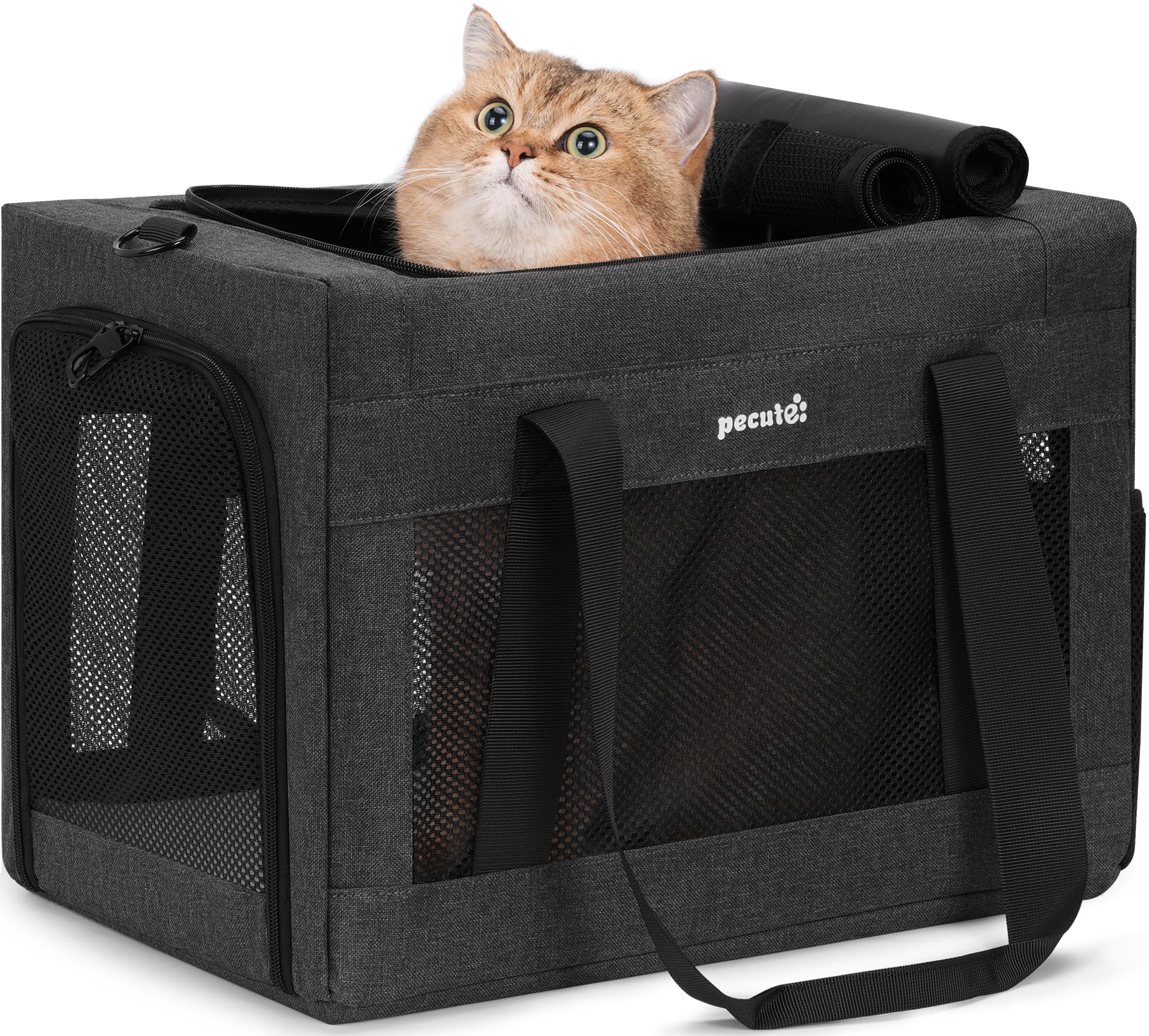 pecute Cat Carrier Stable, Pet Carrier with Hidden Anxiety Relief Partition & Stable Steel Frame, Safe Cat Carrier for Car Travel, Soft-Sided Dog/Cat Carrier Bag for Pets Up to 5kg, Dark Grey