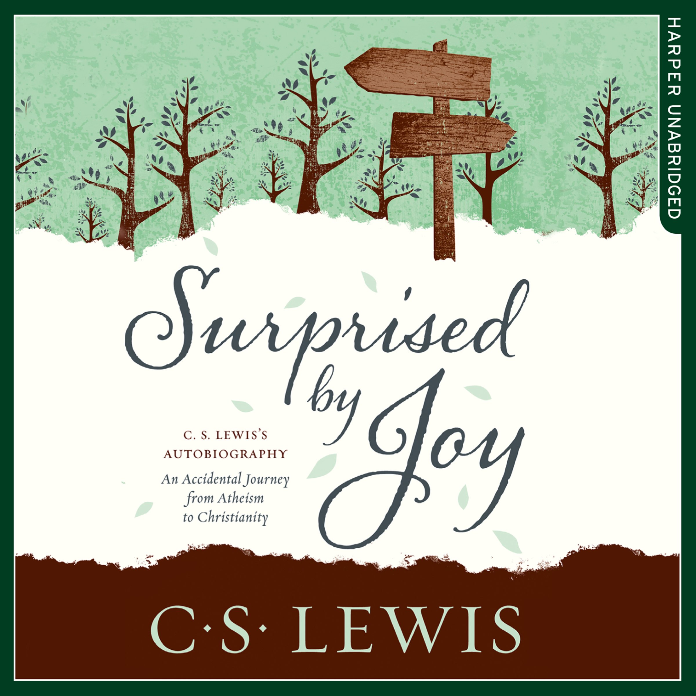 Cover art for Surprised by Joy
