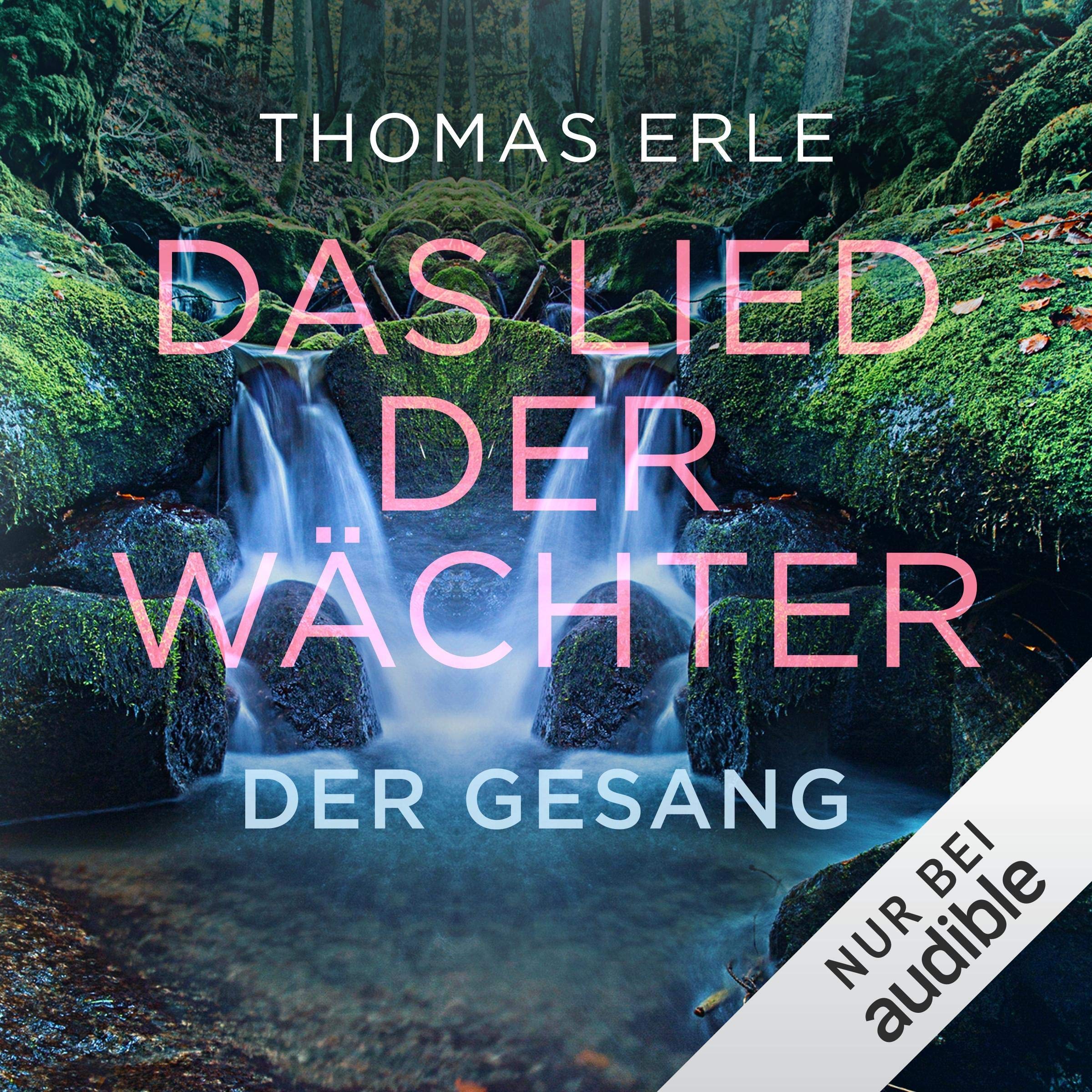 Cover art for Der Gesang