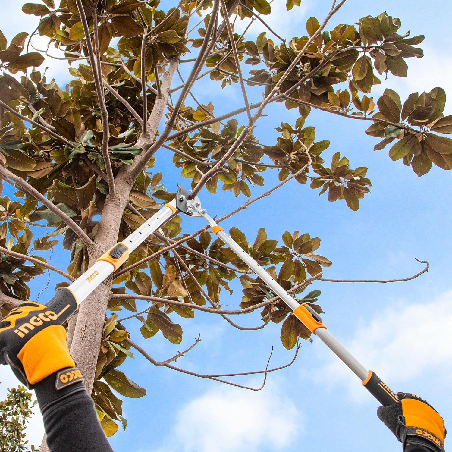 Best Telescopic Tree Loppers Reviews By Wirecutter