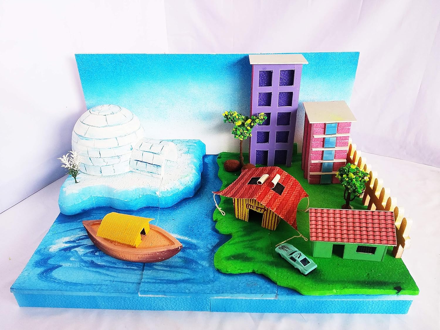 Types of Houses School Project for Kids Size 24x17 inches Creative