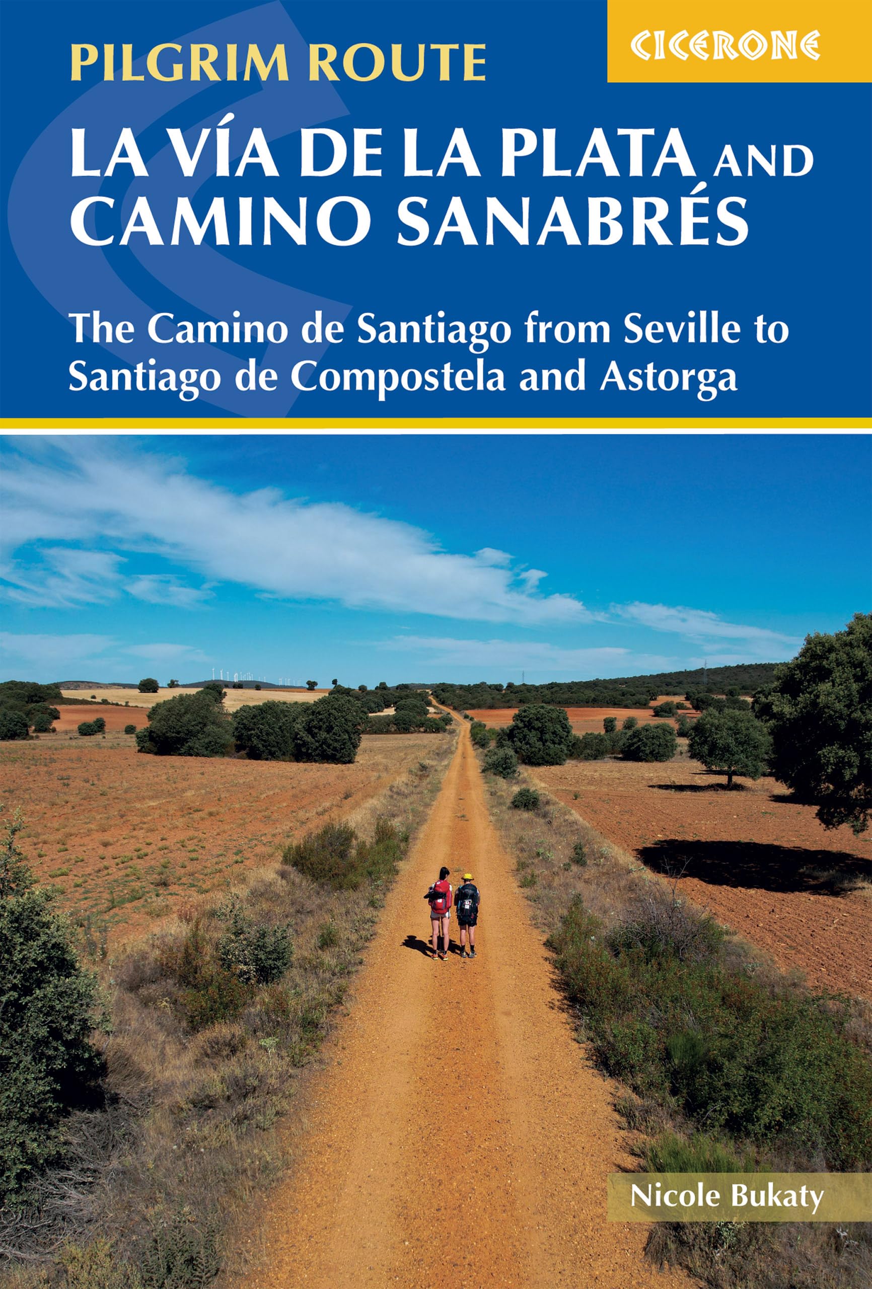La Via de la Plata and Camino Sanabres: The Camino de Santiago from Seville to Santiago de Compostela and Astorga (Cicerone Pilgrimage Guides)