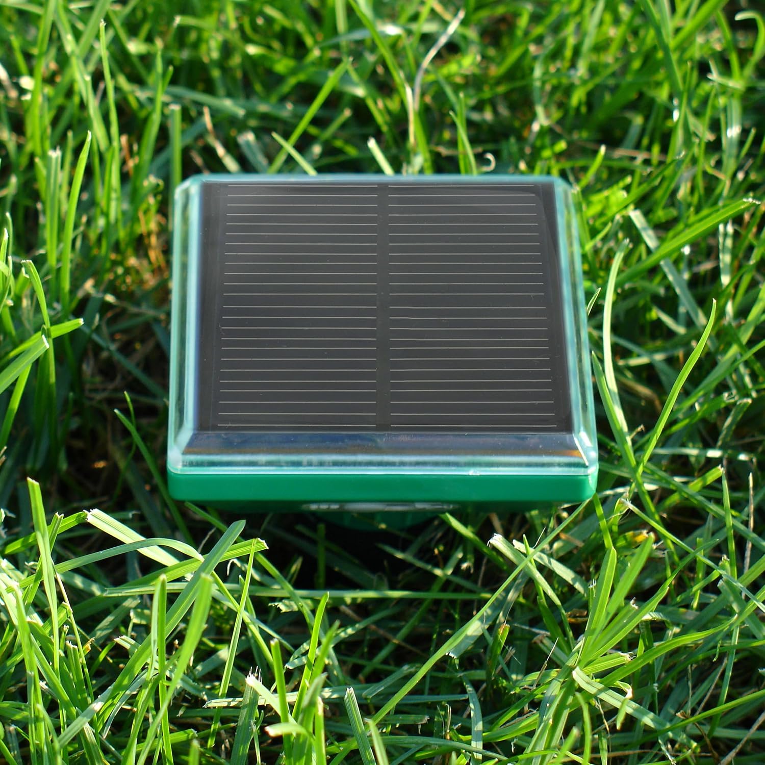 P3 Vanish Snake Repeller, Pet and Human Safe Snake Repellent for Yard and Outdoors