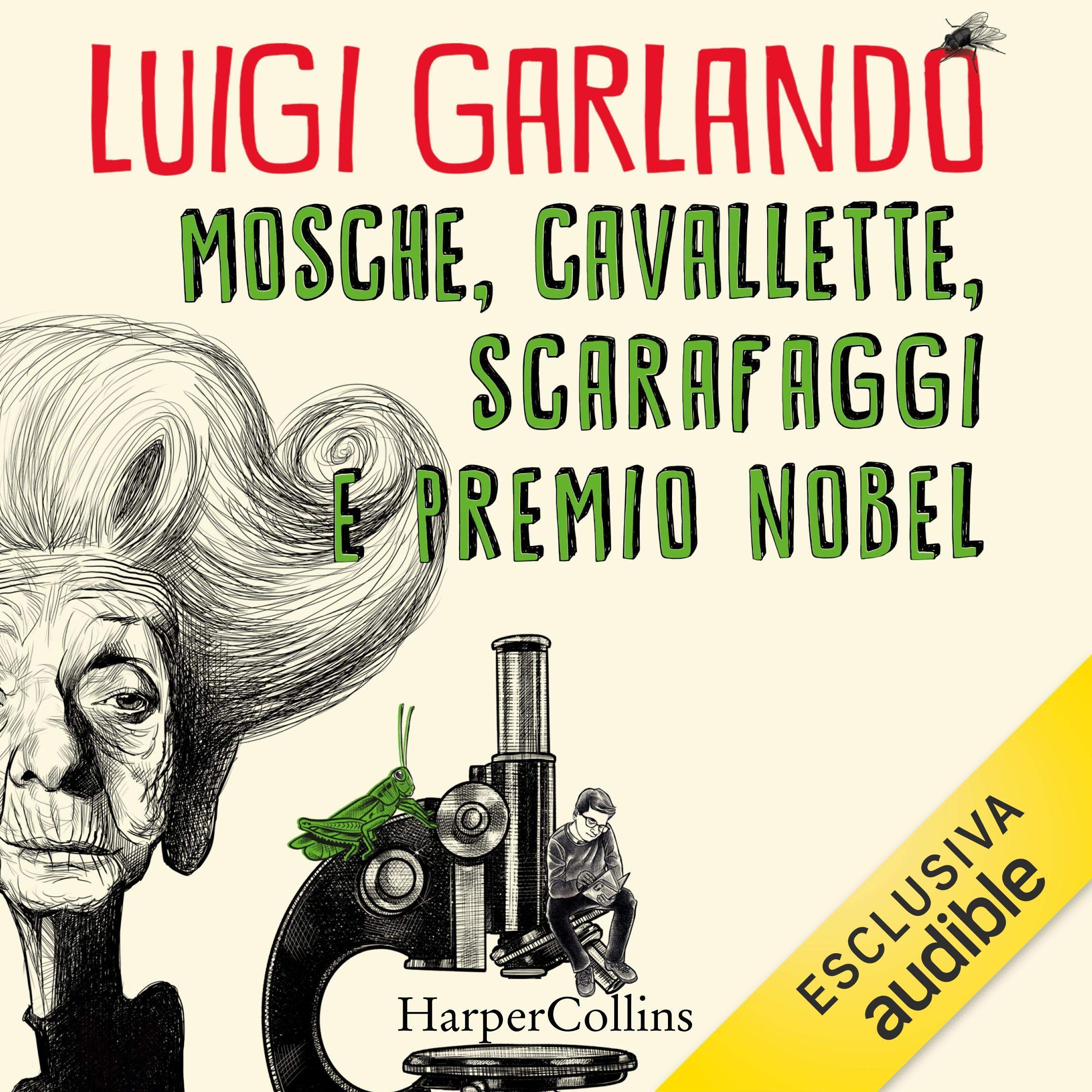 Mosche, cavallette, scarafaggi e premio Nobel
