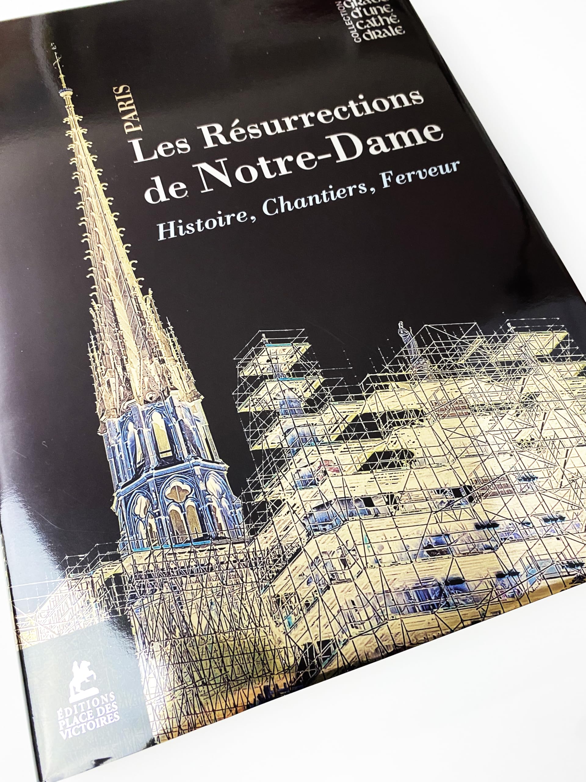 Les résurrections de Notre-Dame de Paris - Histoire, chantiers, ferveur