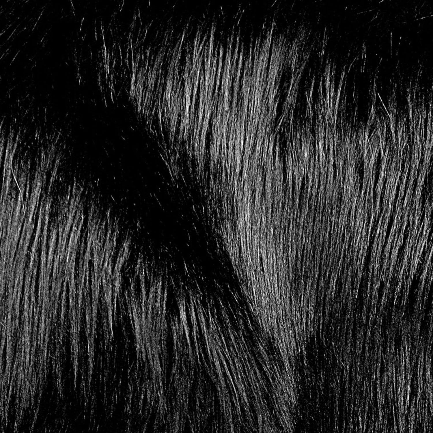 The Fabric Exchange Luxury Shag 60 Inch Fabric by The Yard (F.E. (Black)