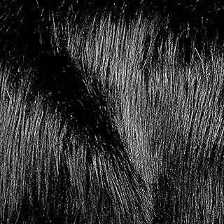 The Fabric Exchange Luxury Shag 60 Inch Fabric by The Yard (F.E. (Black)