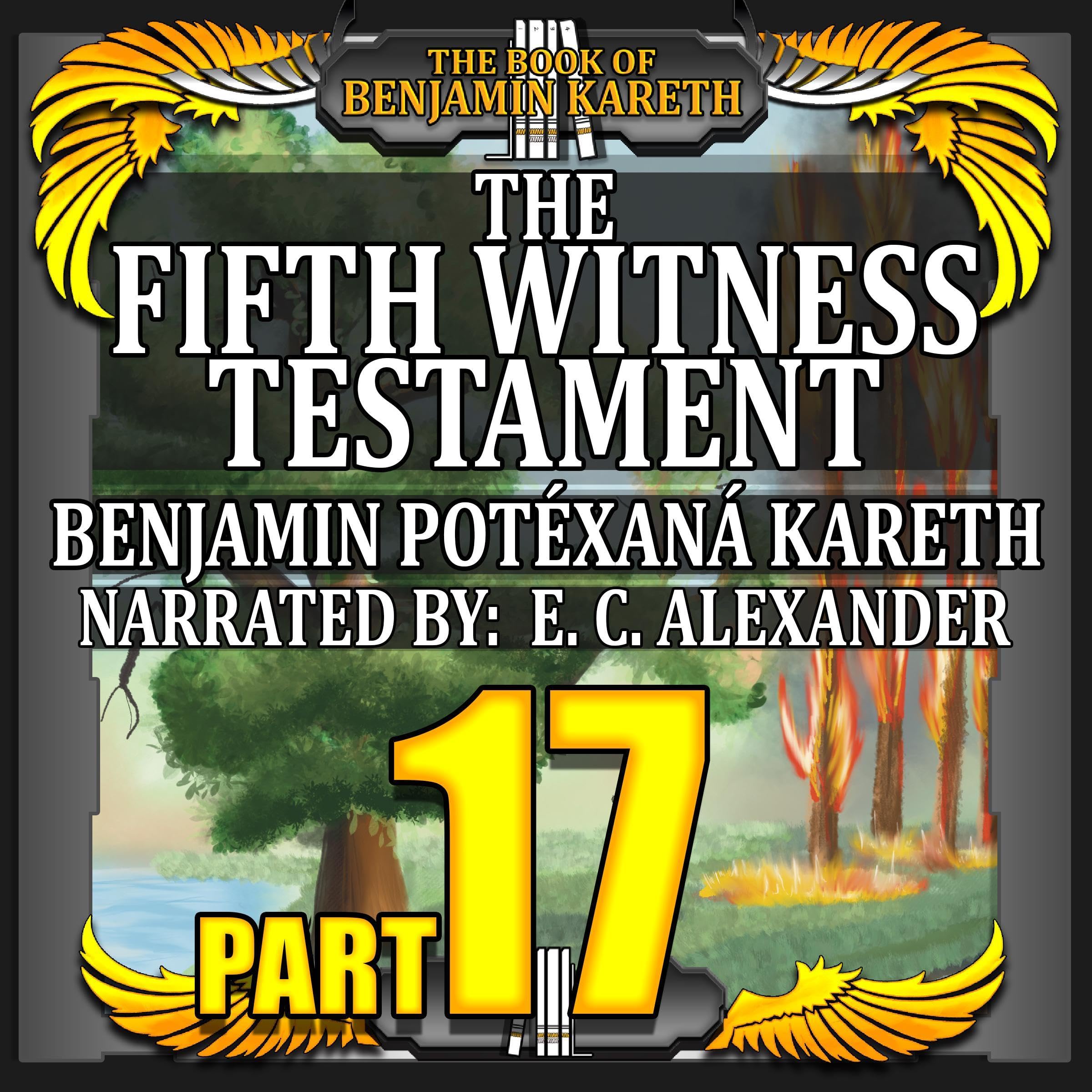 Cover art for The Fifth Witness Testament