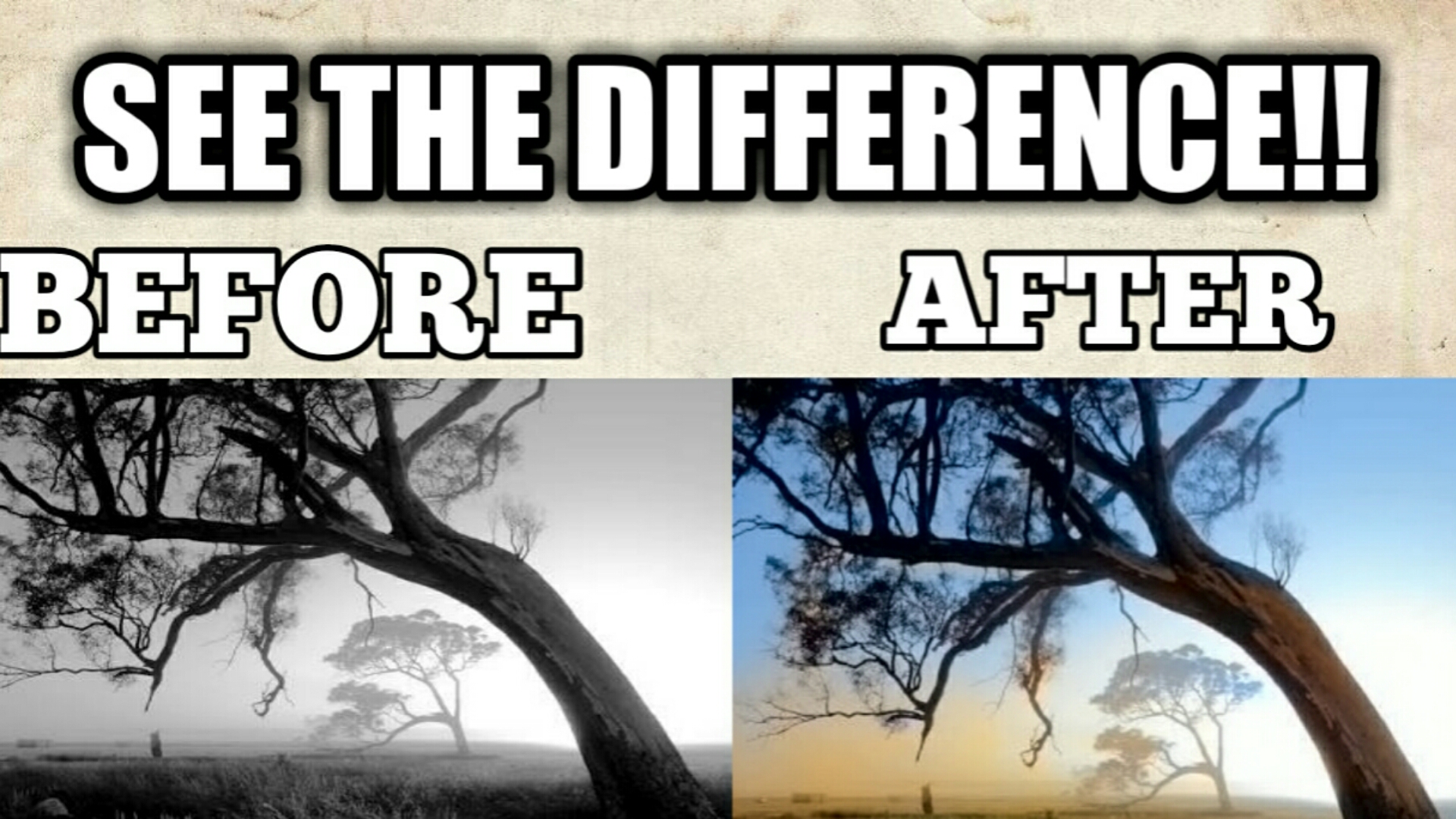 Black and White photo to Colour photo converter Convert your any