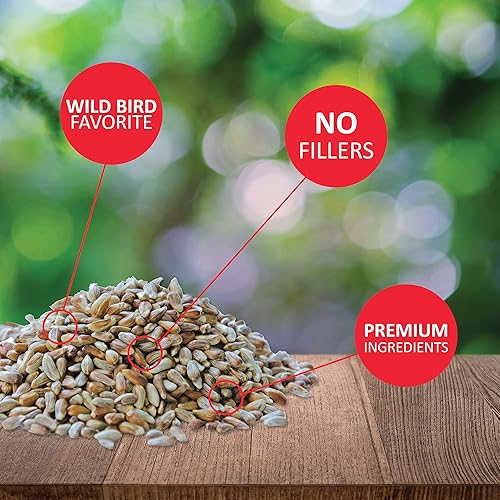 Miniatura 3 de Lyric Golden Safflower Seed and Wagner's Safflower Seed - Paquete de alimentos para aves silvestres, bolsa de 12 libras + bolsa de 5 libras