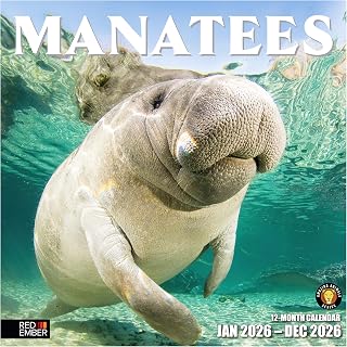 RED EMBER Manatees 2026 Wall Calendar 12 Month | 12" x 24" Open | Thick & Sturdy Paper | Giftable | Calendar 2026