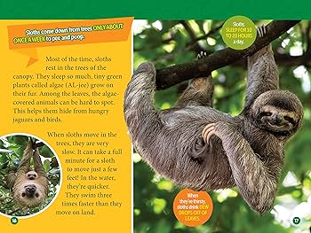 Amazon.com: Amazon Animals (National Geographic Kids Readers