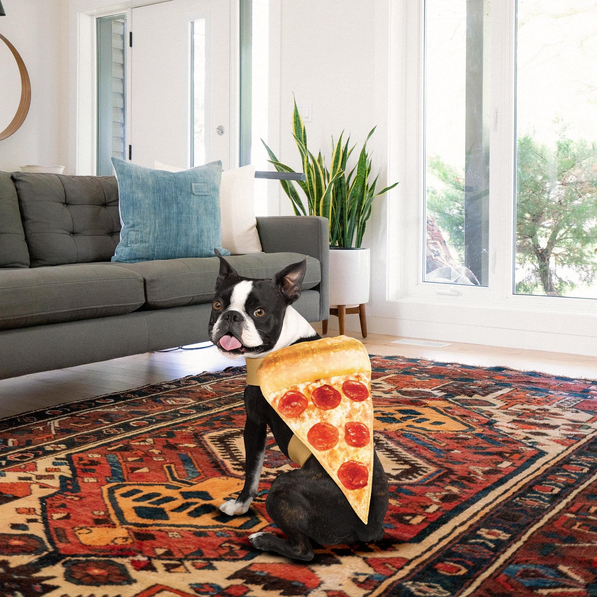 Pizza Pet Fancy Dress Costume Small/Medium