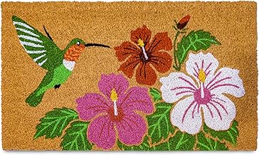 MAINEVENT Hummingbird Door Mat 30x17 Inch, Garden Hummingbird Doormat for Covered Outdoor Area, Bird Welcome Mat, Outdoor Spring Decor, Summer Front Door Mat