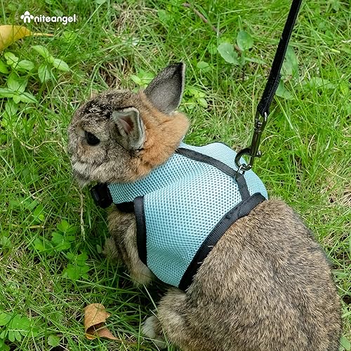 Miniatura 9 de Niteangel Arnés suave ajustable con correa elástica para conejos (L, rosa)