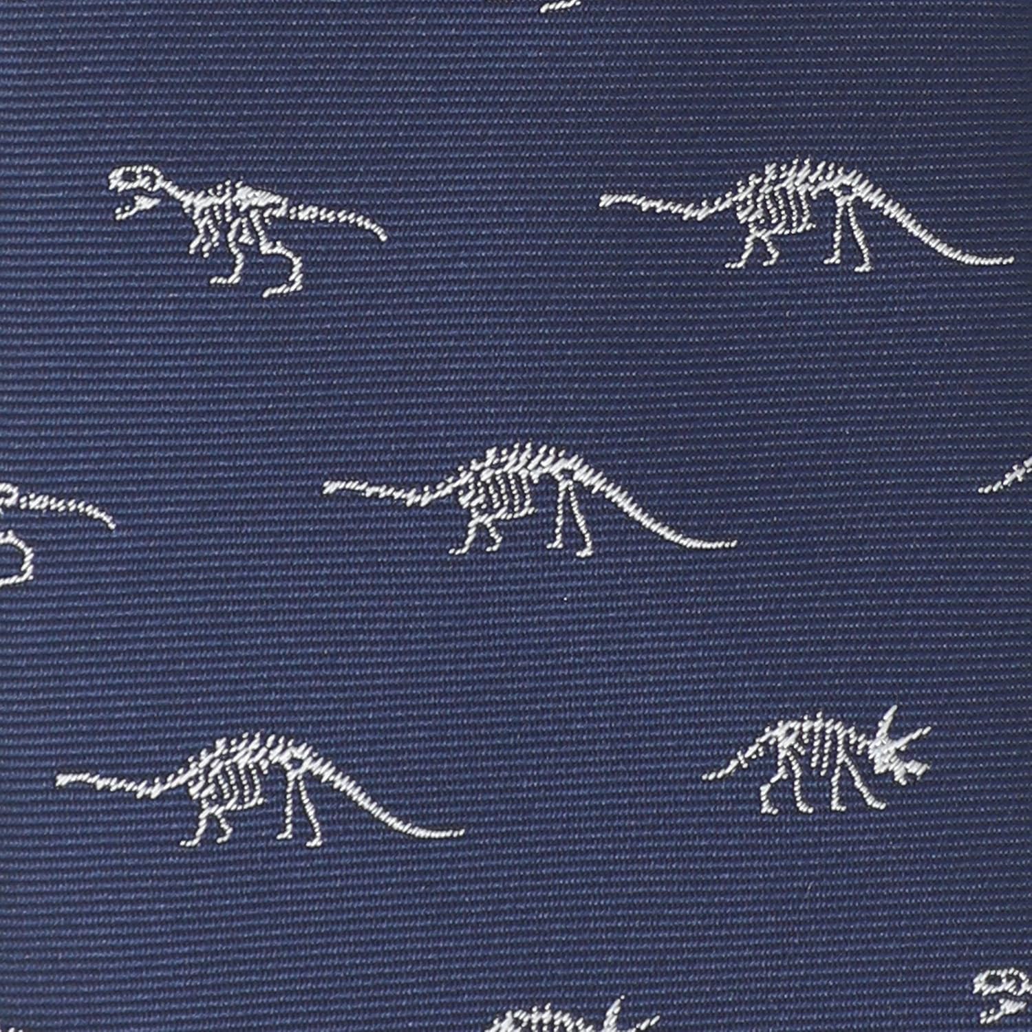 Dinosaur Skeletons Necktie With Gift Box Grey Dinosaur Skeletion Navy Tie Father's Day Birthday Gift Tie