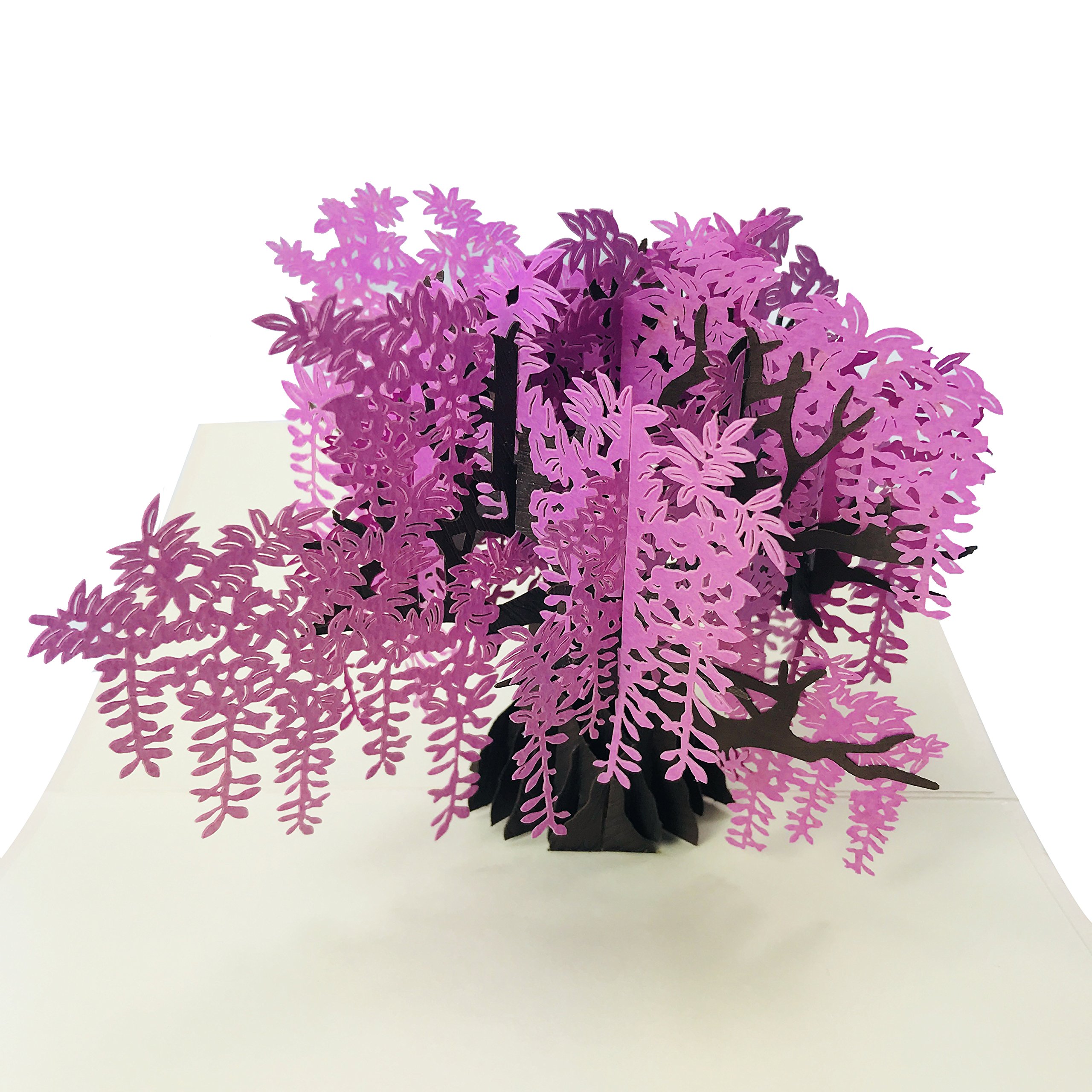 Amazon.com : Wisteria Tree Sympathy & Condolence Card (Original) - 3D Pop Up  Greeting Card : Office Products