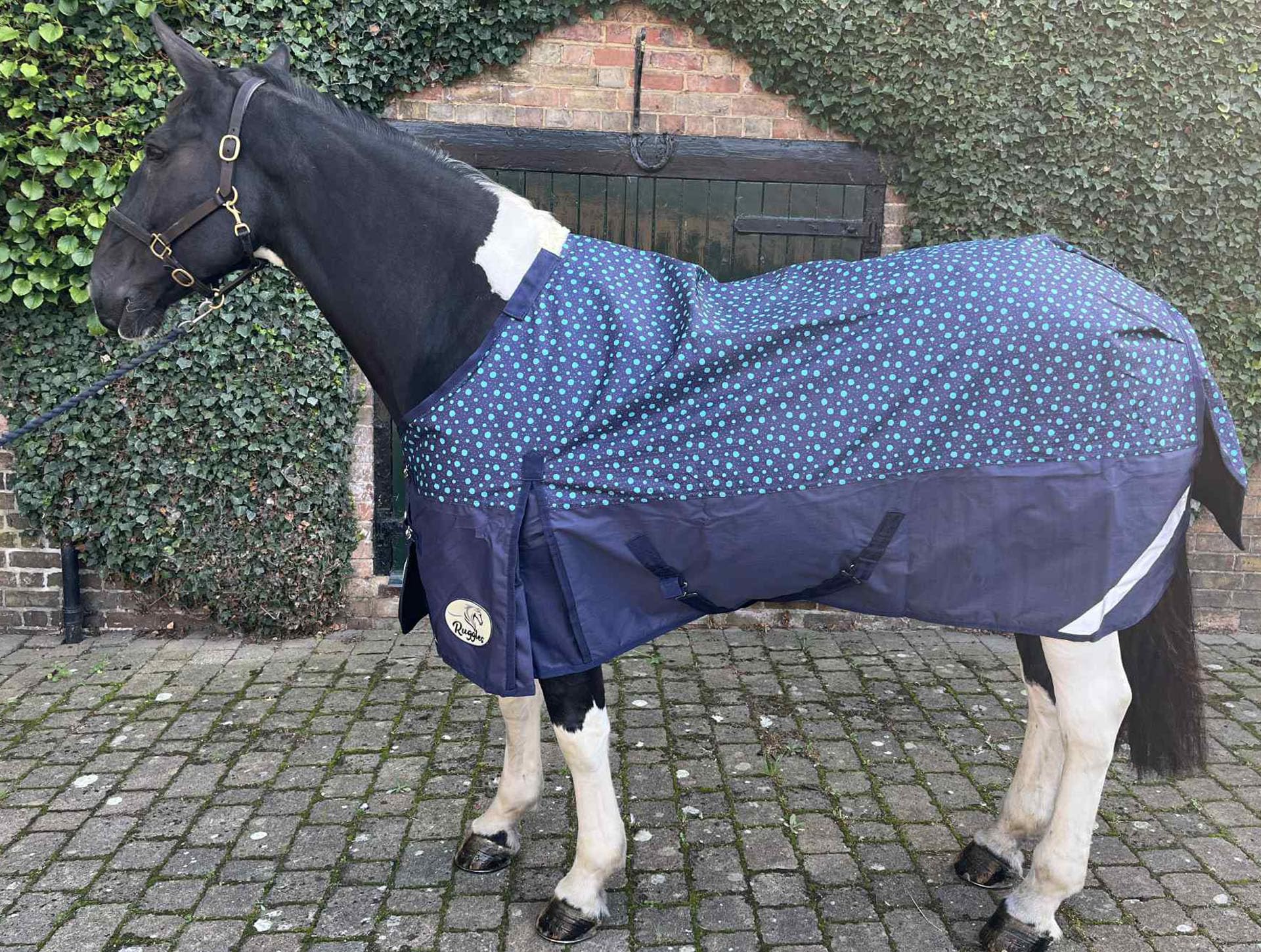 Ruggles Lightweight No Fill Turnout Rug for Heavy Horses - Shires Clydesdale Percheron etc | Durable 1200D Teflon Coated Outer | Ideal for Warmer Wet Weather (Aqua Spots, 6' 6")