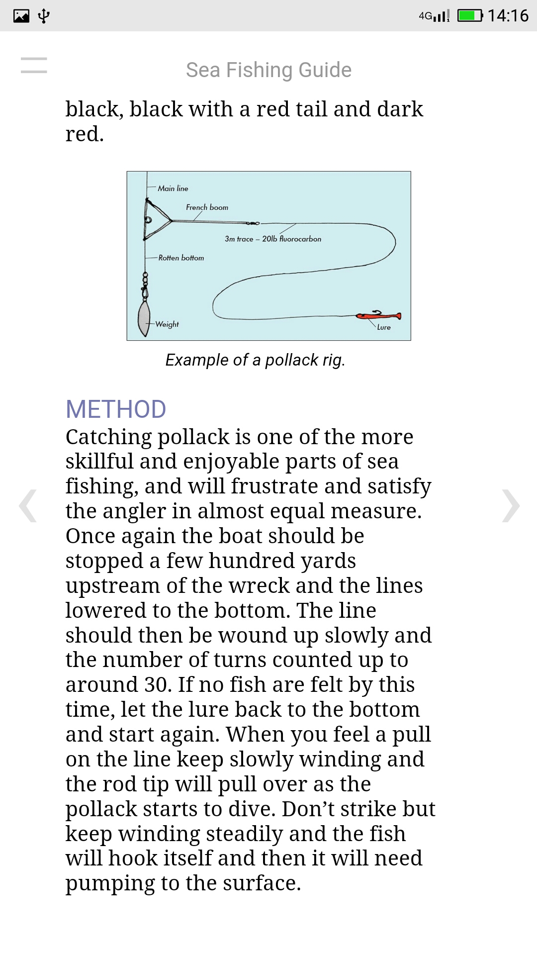 Sea Fishing Guide - App on the Amazon Appstore