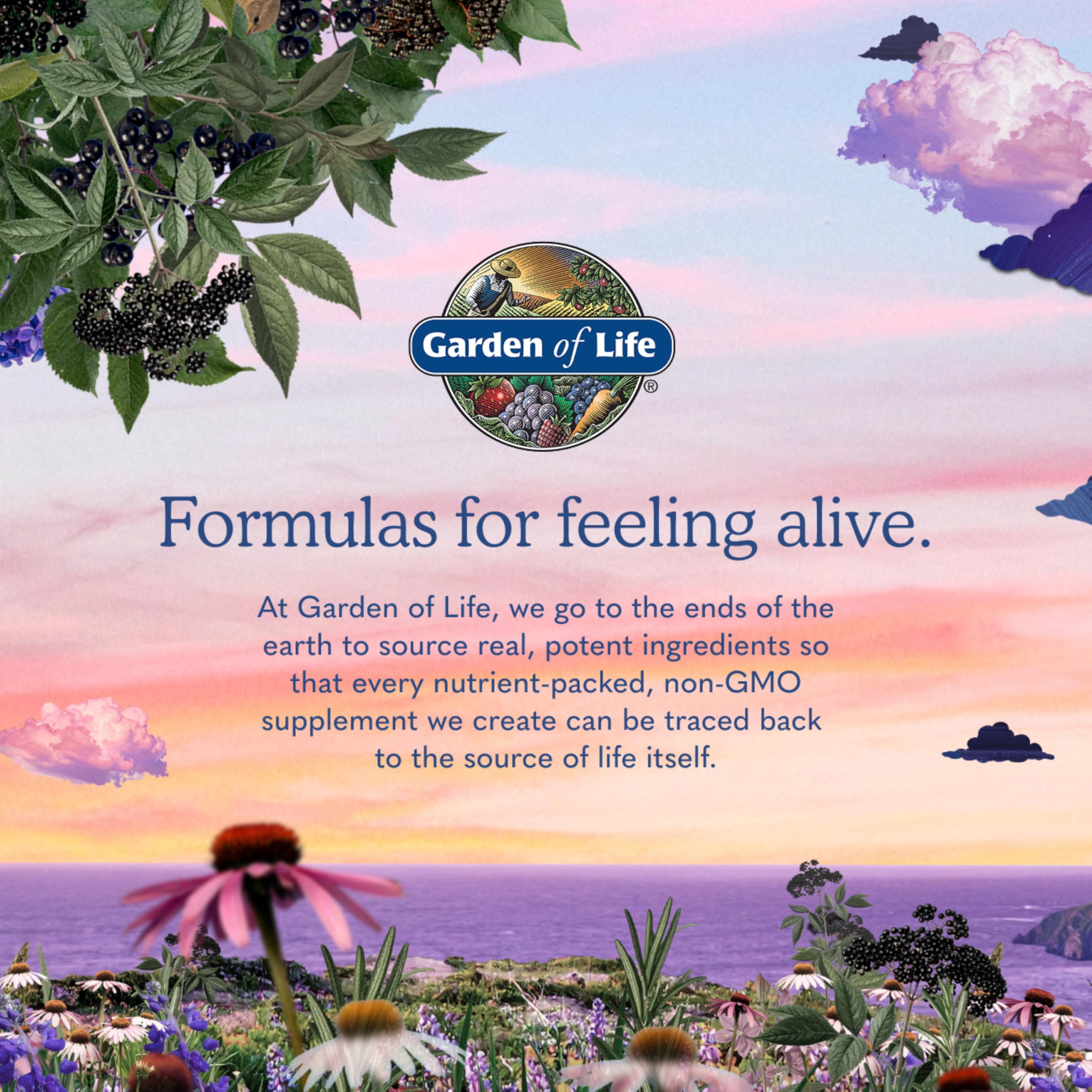 Garden of Life | Once Daily Prenatal | 30 vegane Kapseln | glutenfrei