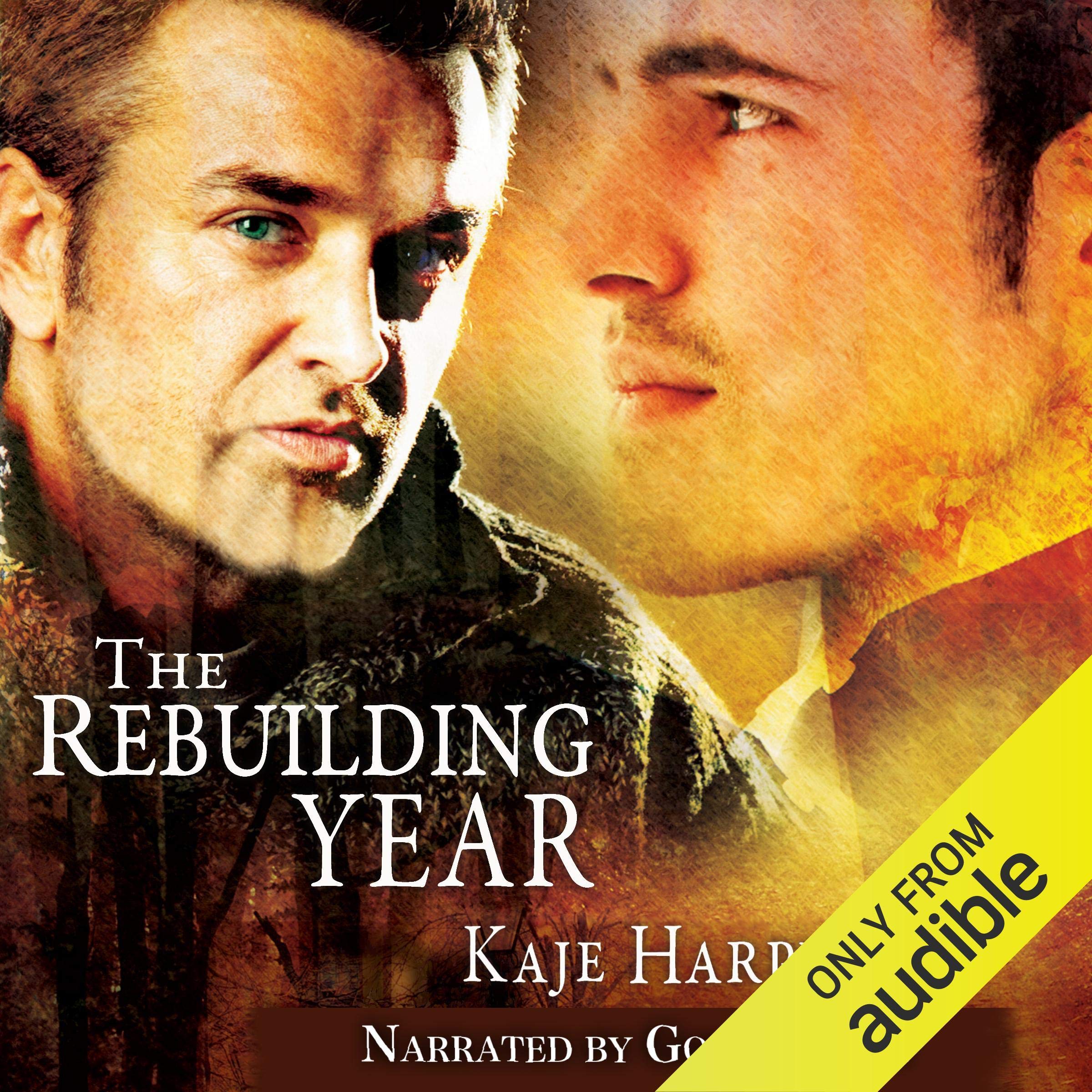 Cover art for The Rebuilding Year