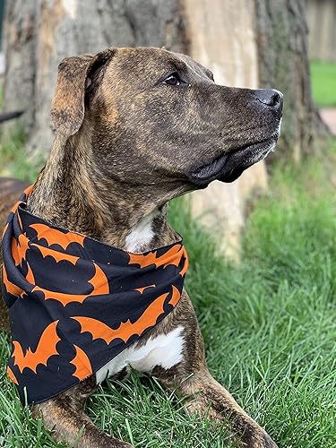 Miniatura 9 de Native Pup Bandana de Halloween para perro, paquete de 3, pañuelo de murciélagos, maíz dulce y calabaza (paquete de Halloween 1, grande)