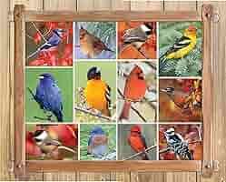 Springbokパズル – Songbirds – 1000ピース Amazon.com: Springbok's 1000 Piece Jigsaw Puzzle Songbirds