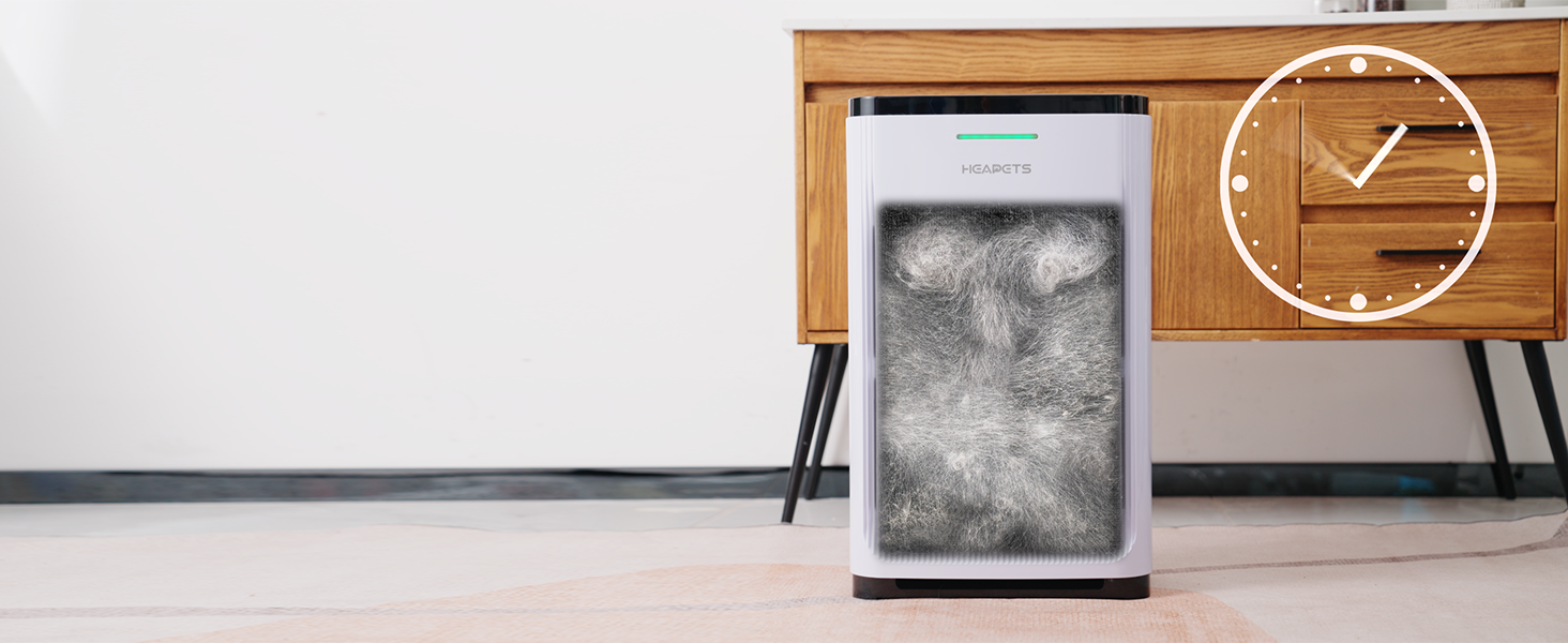 Dog Groomer Air Purifier: Essential for Fresh Spaces