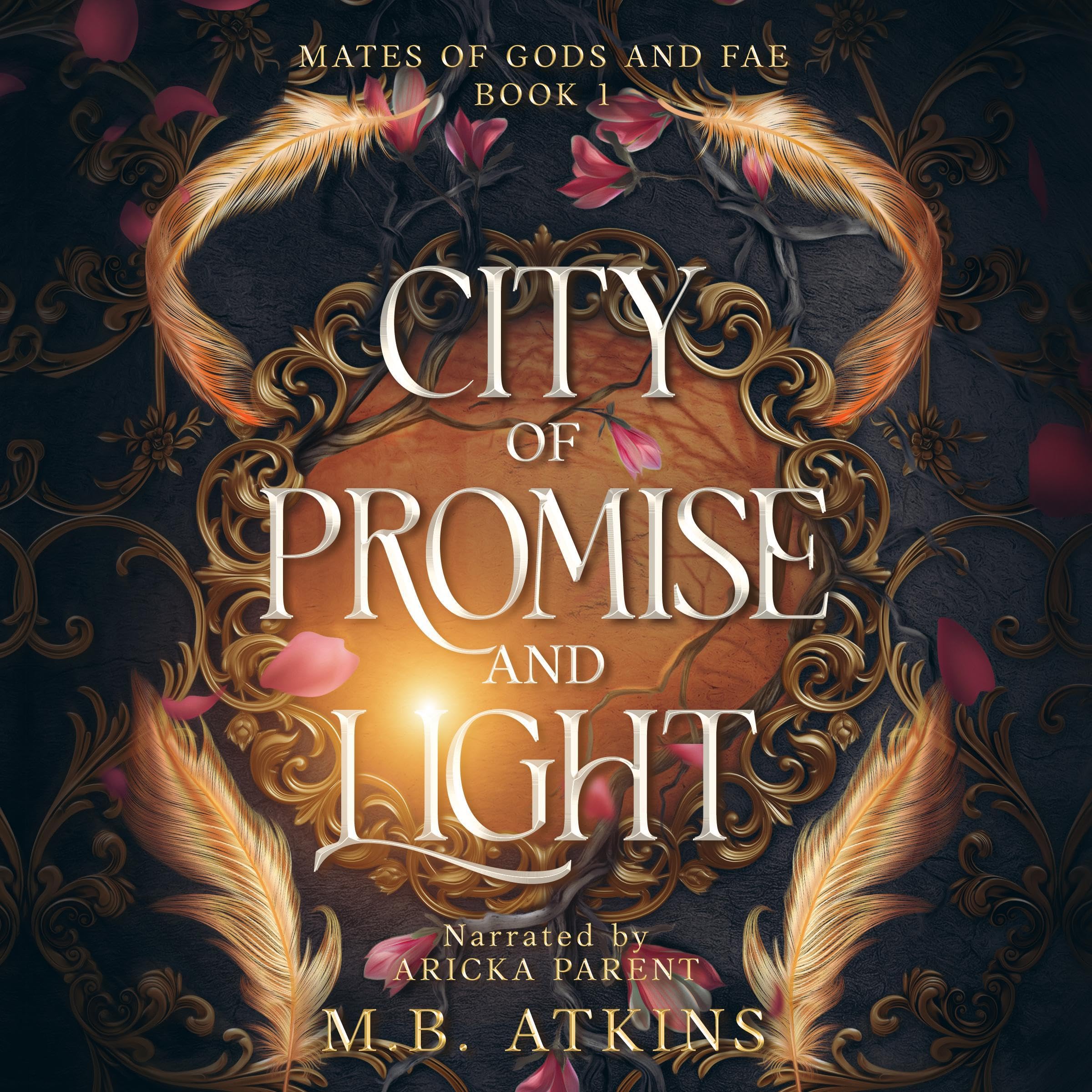 Cover art for City of Promise and Light